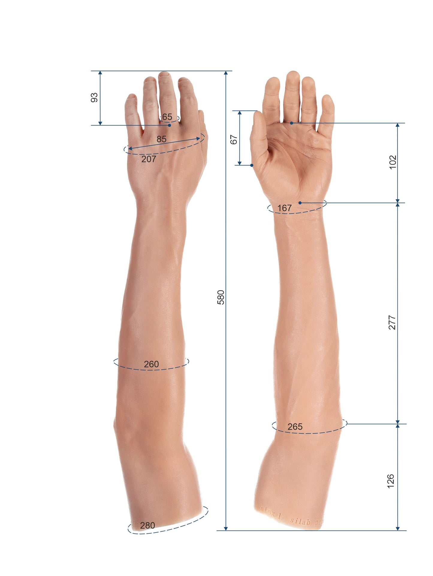 Cosmetic Prosthetic Glove – Men Shape / Arm / Ref. "Alex"