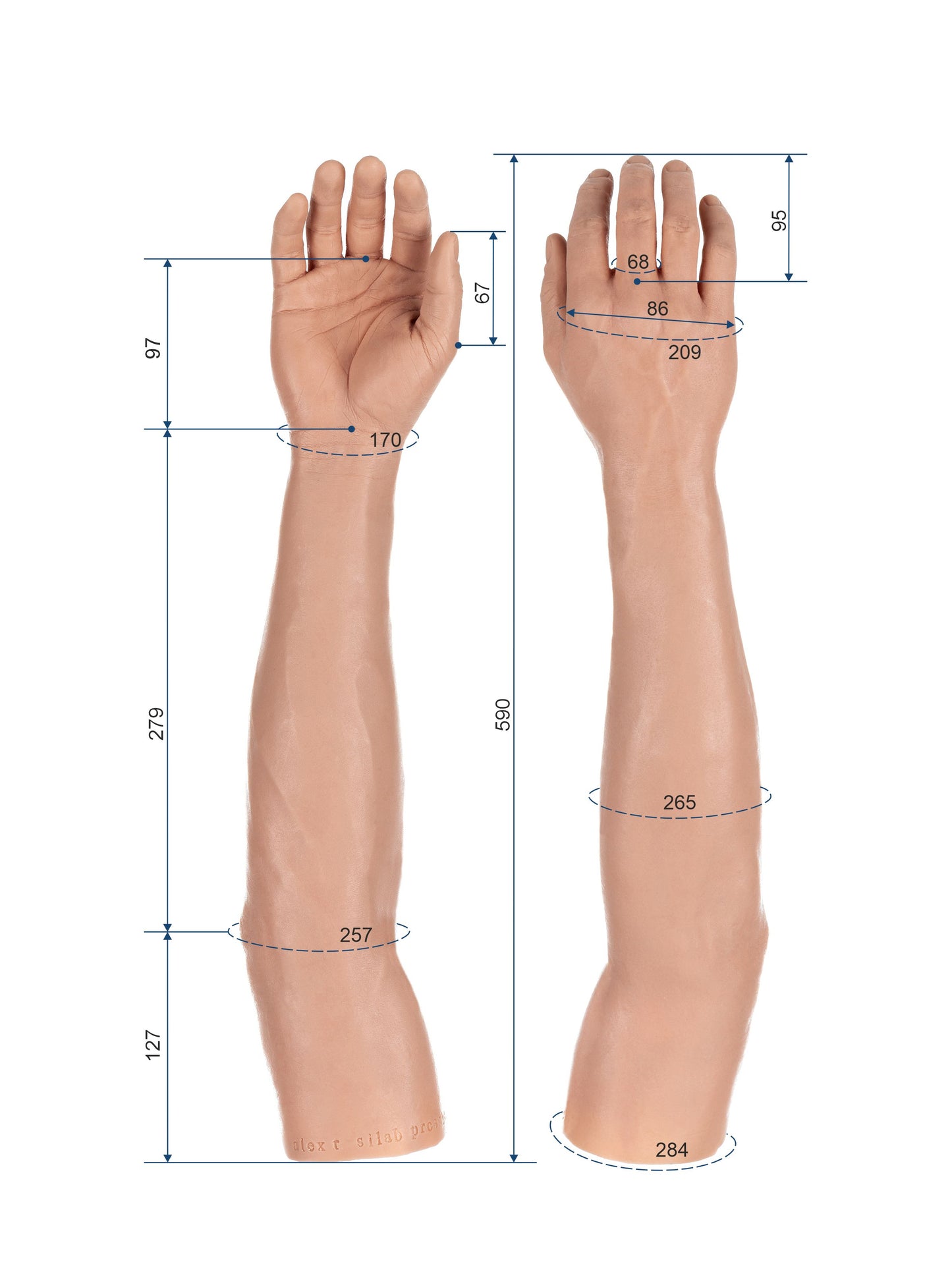 Cosmetic Prosthetic Glove – Men Shape / Arm / Ref. "Alex"