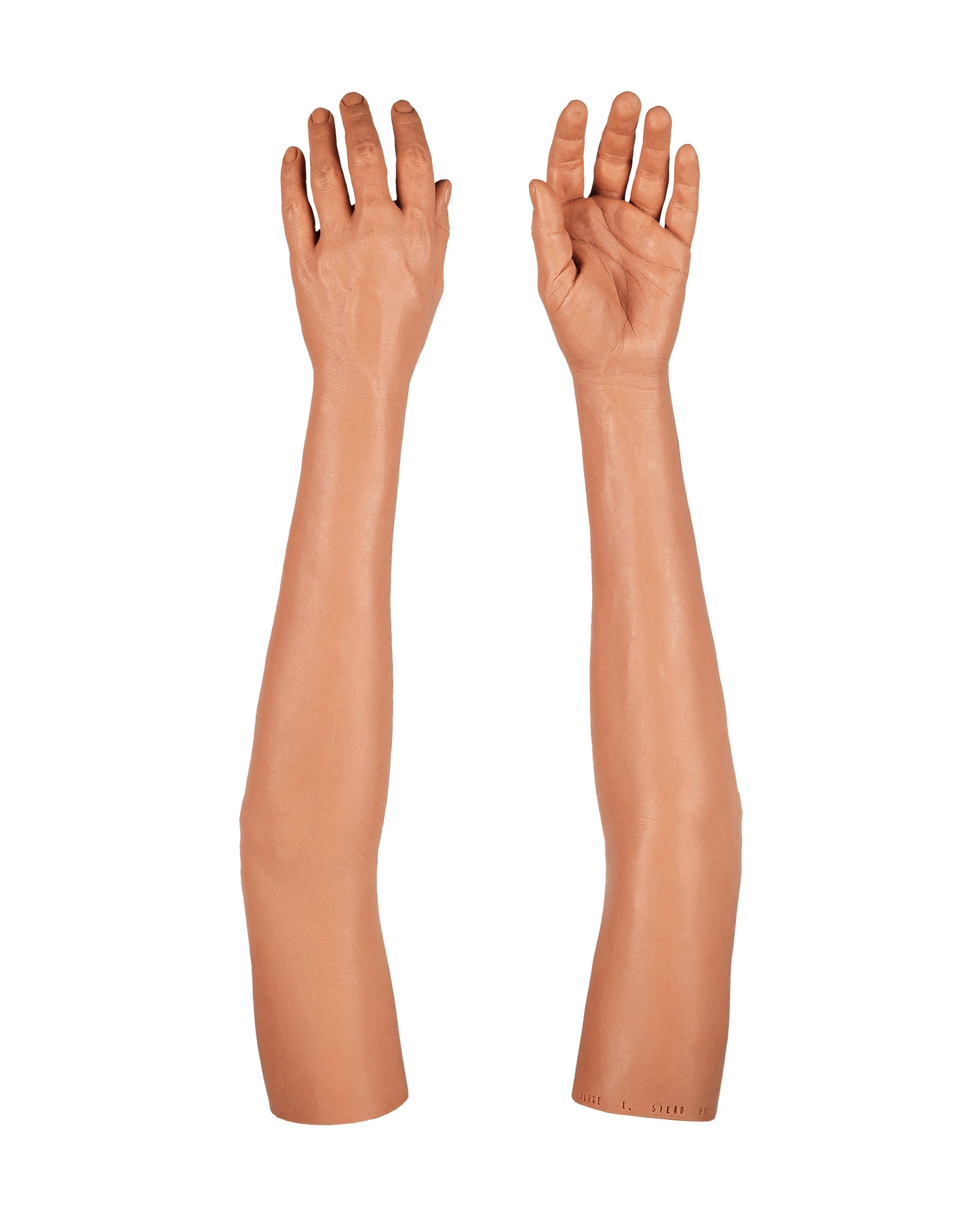 Cosmetic Prosthetic Glove – Women Shape / Arm / Ref. "Alice"