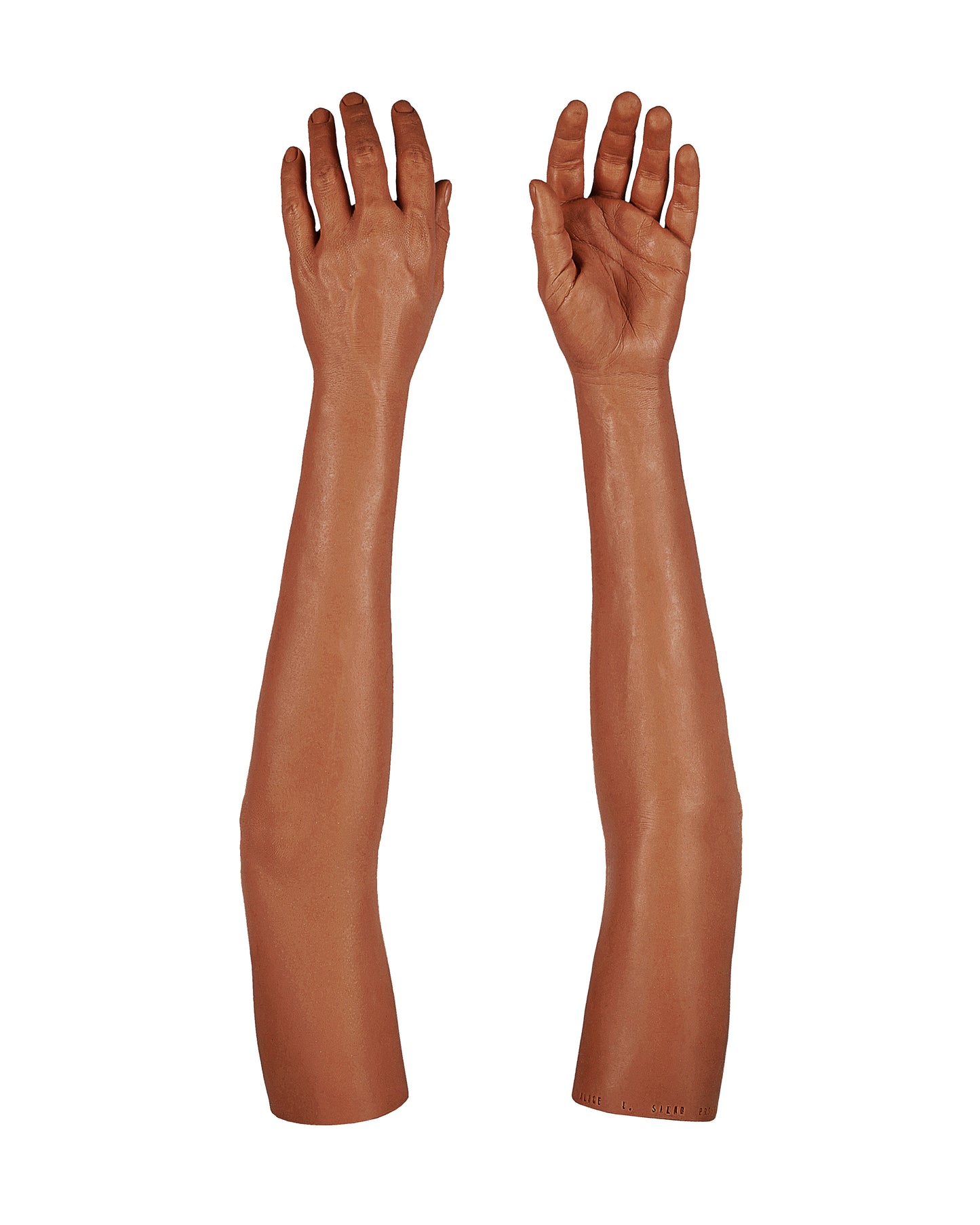 Cosmetic Prosthetic Glove – Women Shape / Arm / Ref. "Alice"