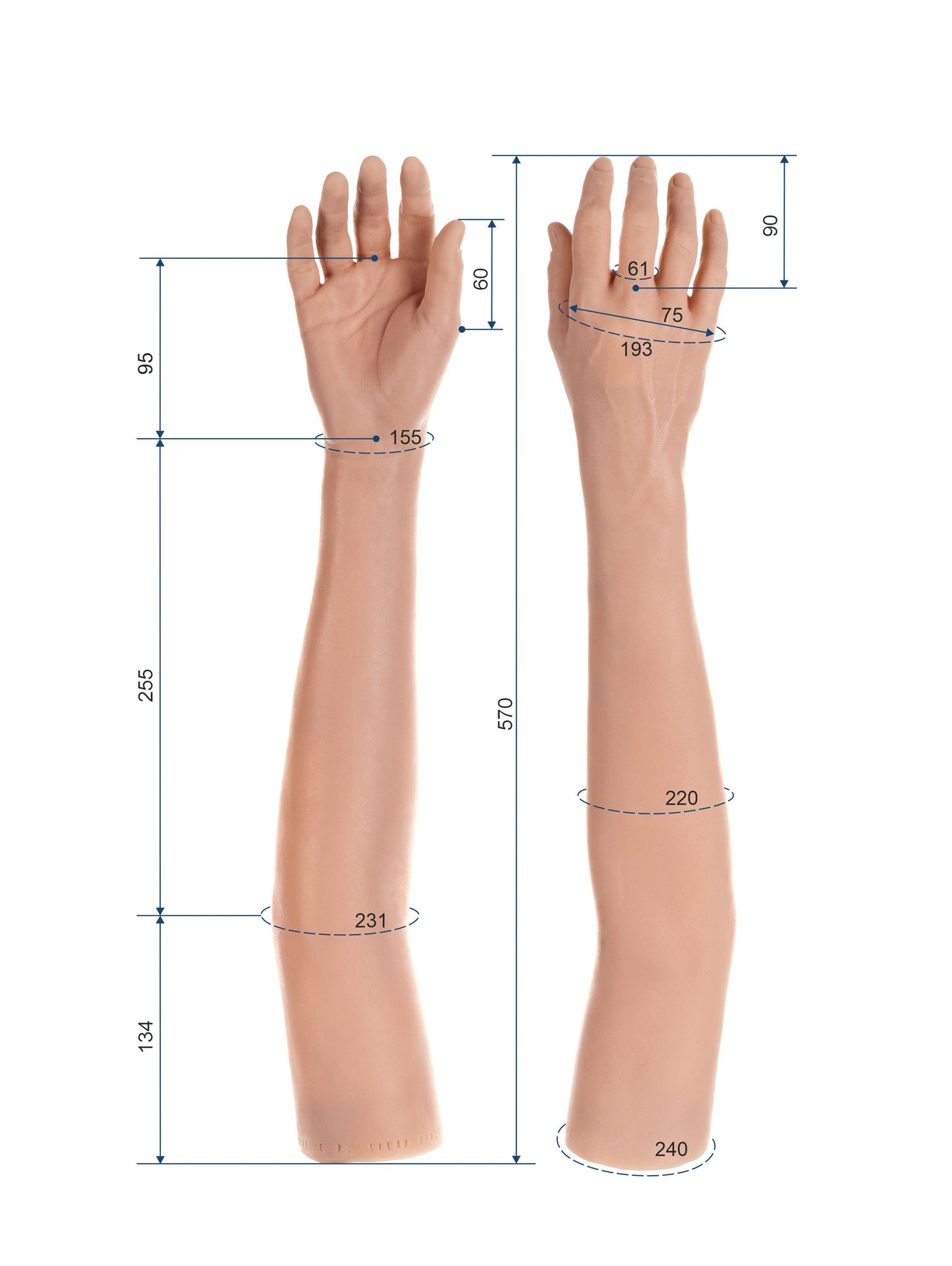Cosmetic Prosthetic Glove – Men Shape / Arm / Ref. "Charlie"