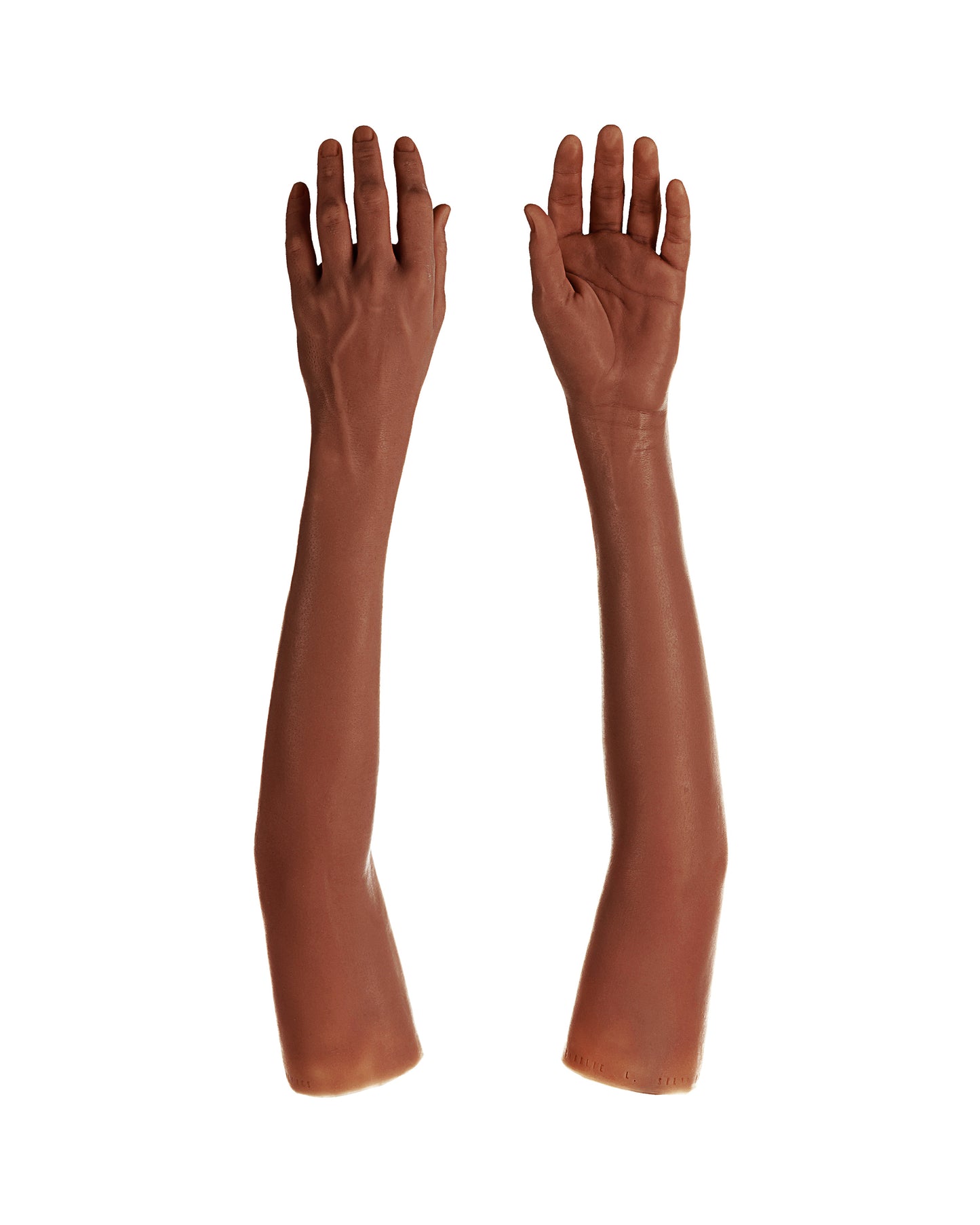 Cosmetic Prosthetic Glove – Men Shape / Arm / Ref. "Charlie"