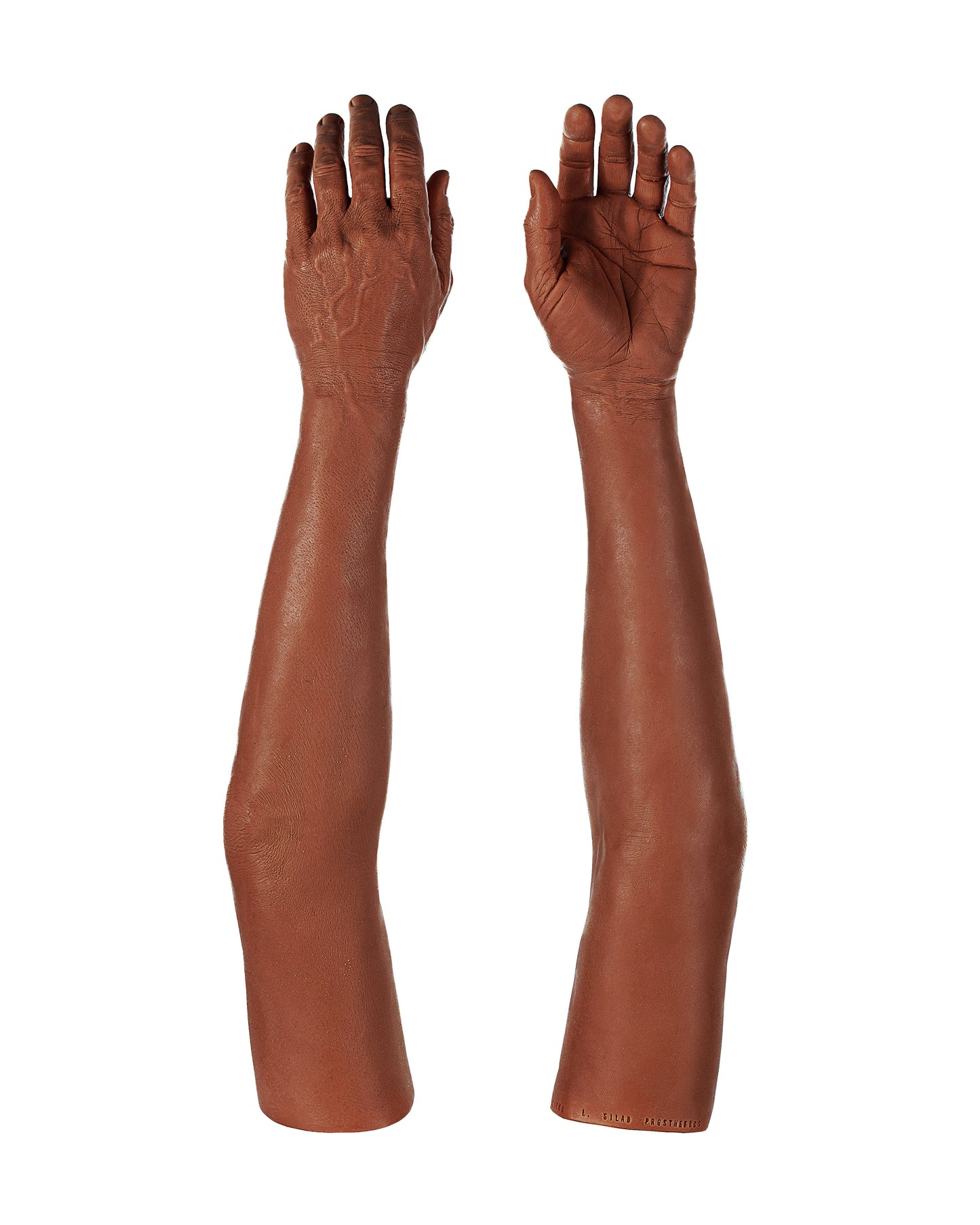 Cosmetic Prosthetic Glove – Men Shape / Arm / Ref. "Diego"