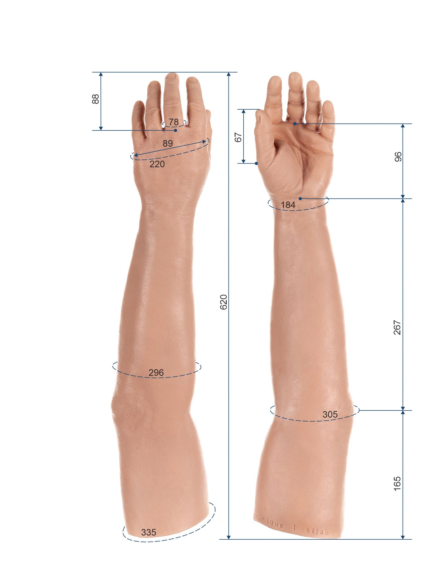 Cosmetic Prosthetic Glove – Men Shape / Arm / Ref. "Dominique"
