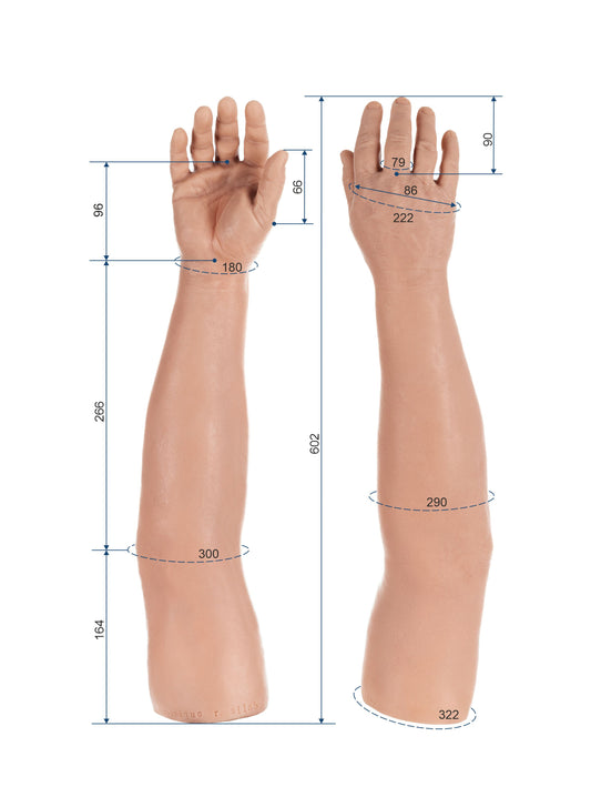 Cosmetic Prosthetic Glove –  Men Shape / Arm / Ref. "Dominique"