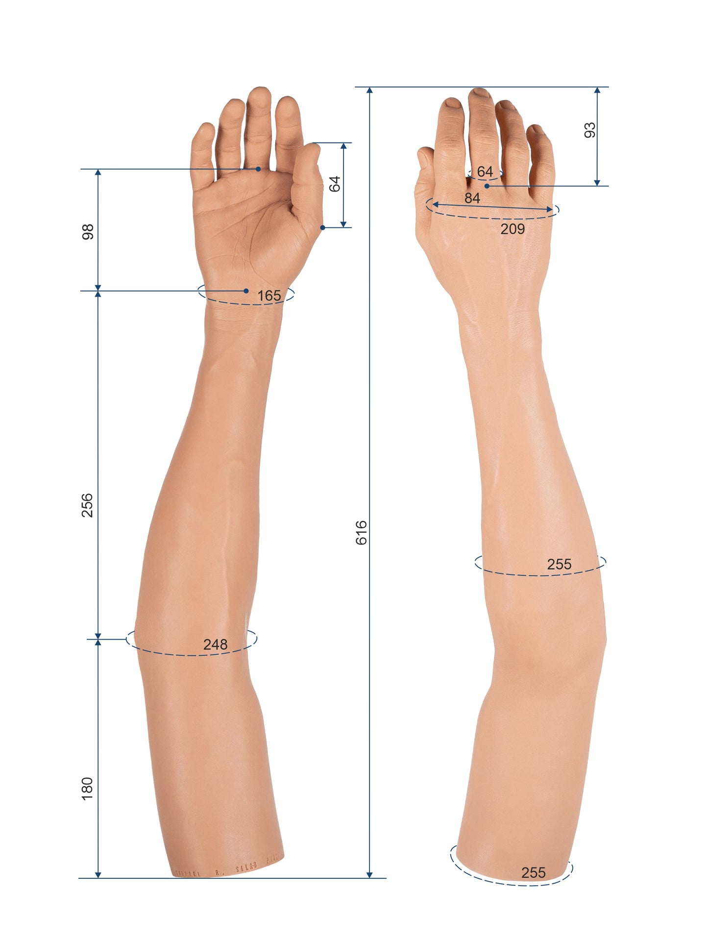 Cosmetic Prosthetic Glove – Men Shape / Arm / Ref. "Gabriel"