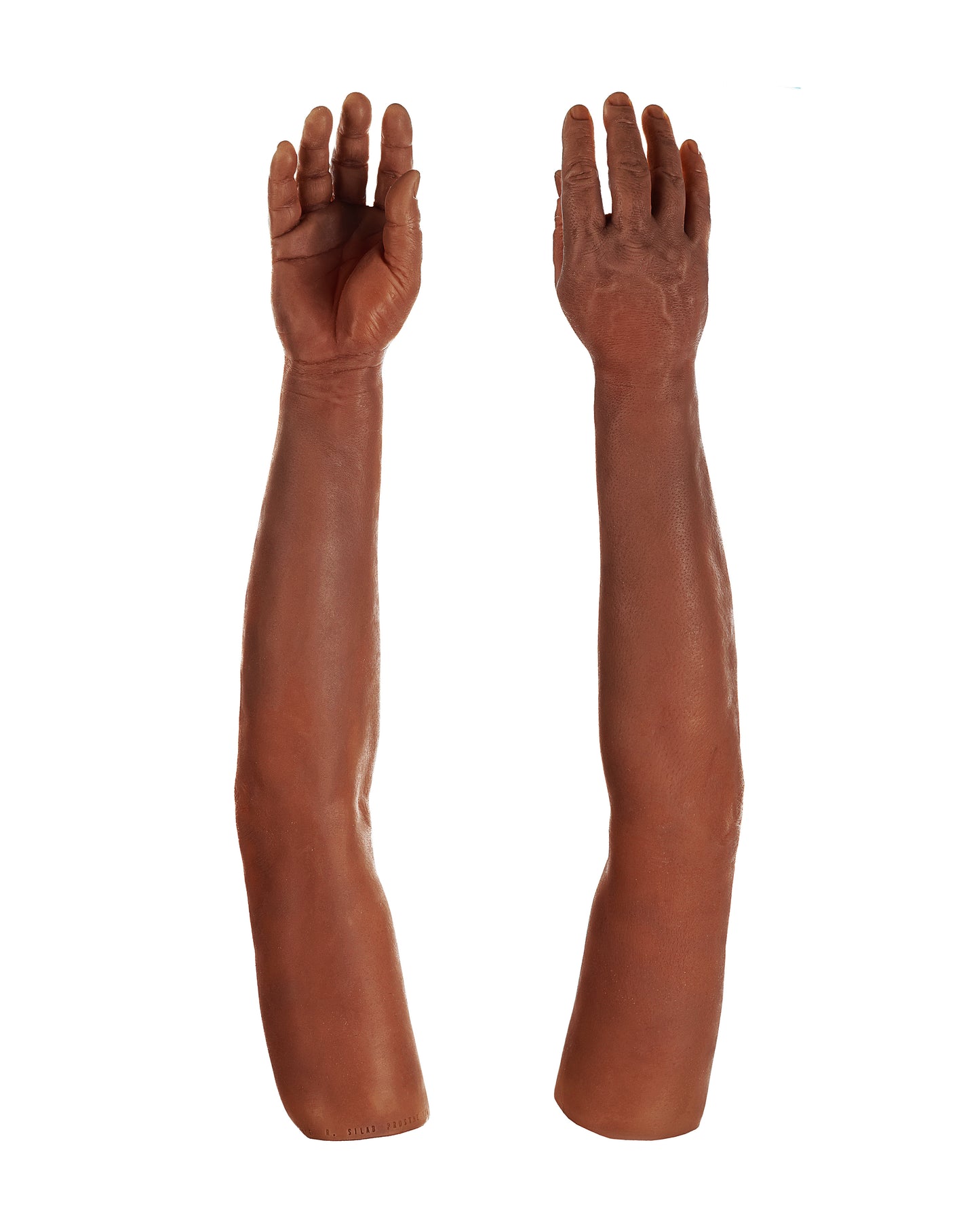 Cosmetic Prosthetic Glove – Men Shape / Arm / Ref. "George"
