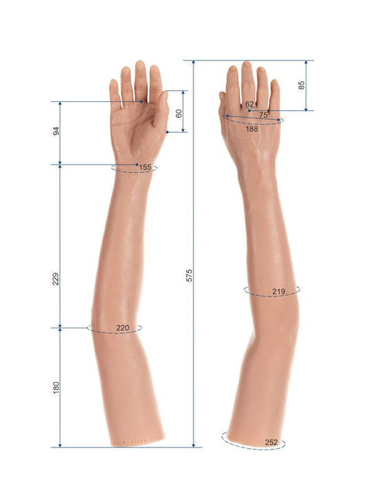 Cosmetic Prosthetic Glove – Women Shape / Arm / Ref. "Lisa"