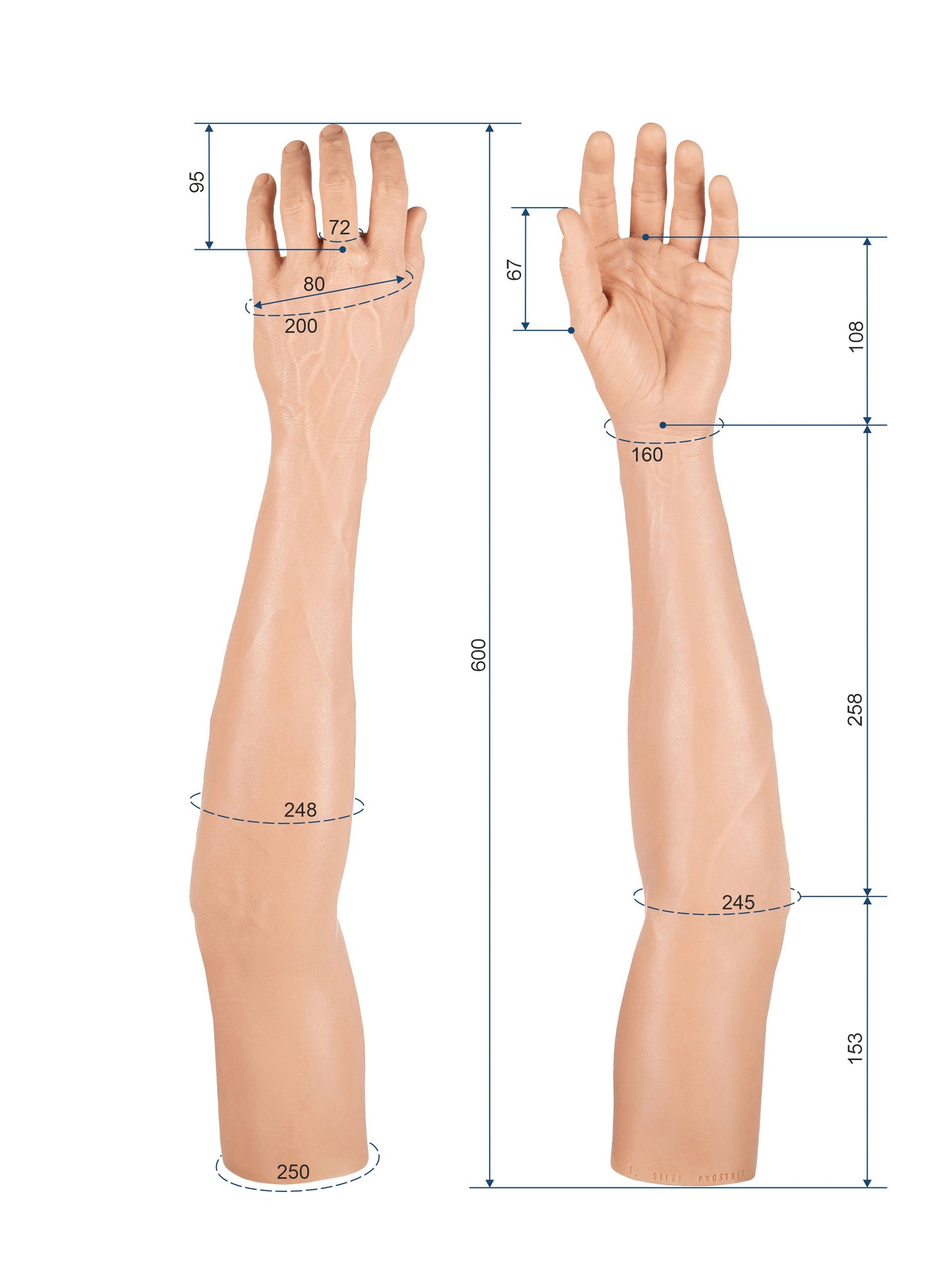 Cosmetic Prosthetic Glove – Men Shape / Arm / Ref. "Luis"