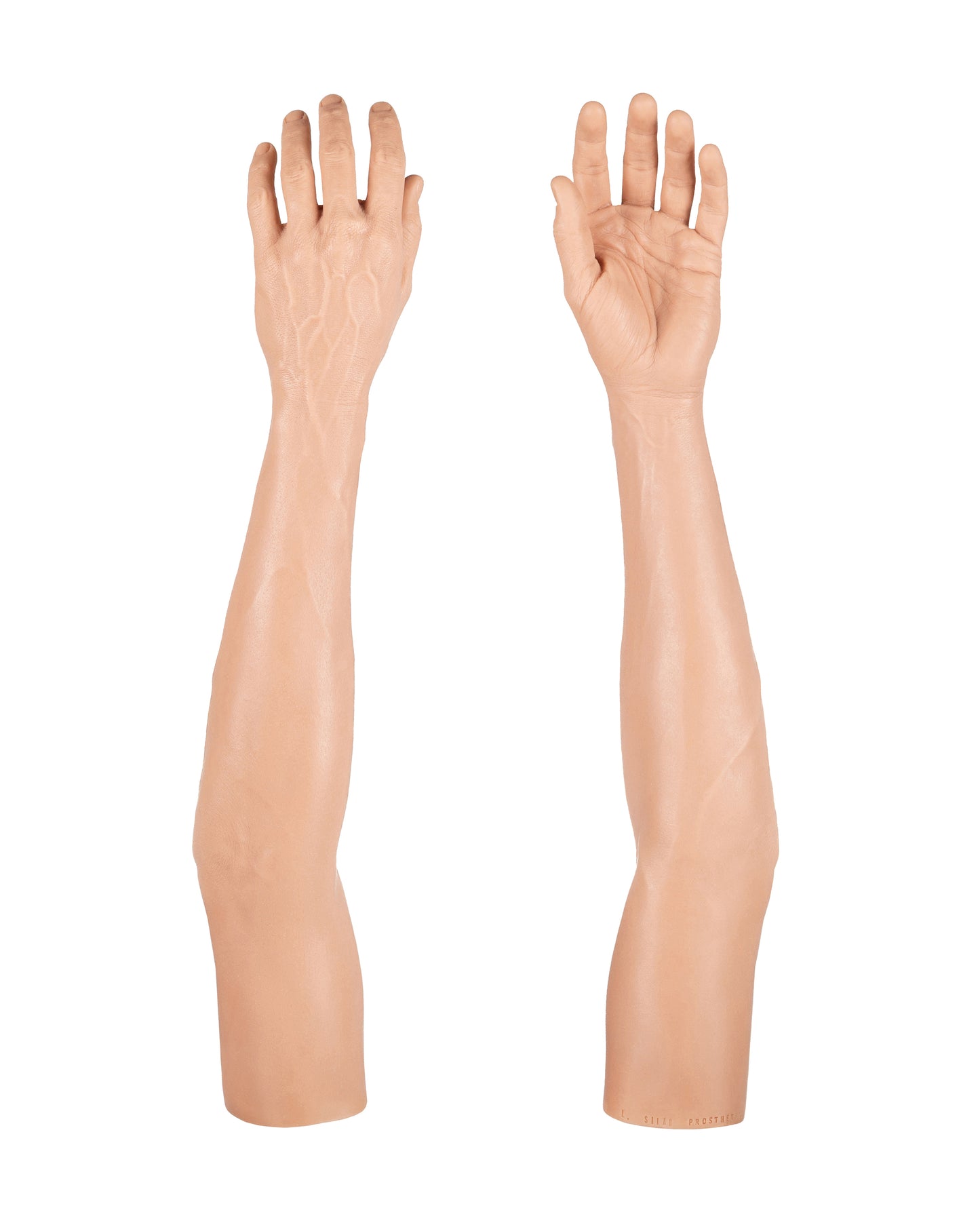 Cosmetic Prosthetic Glove – Men Shape / Arm / Ref. "Luis"