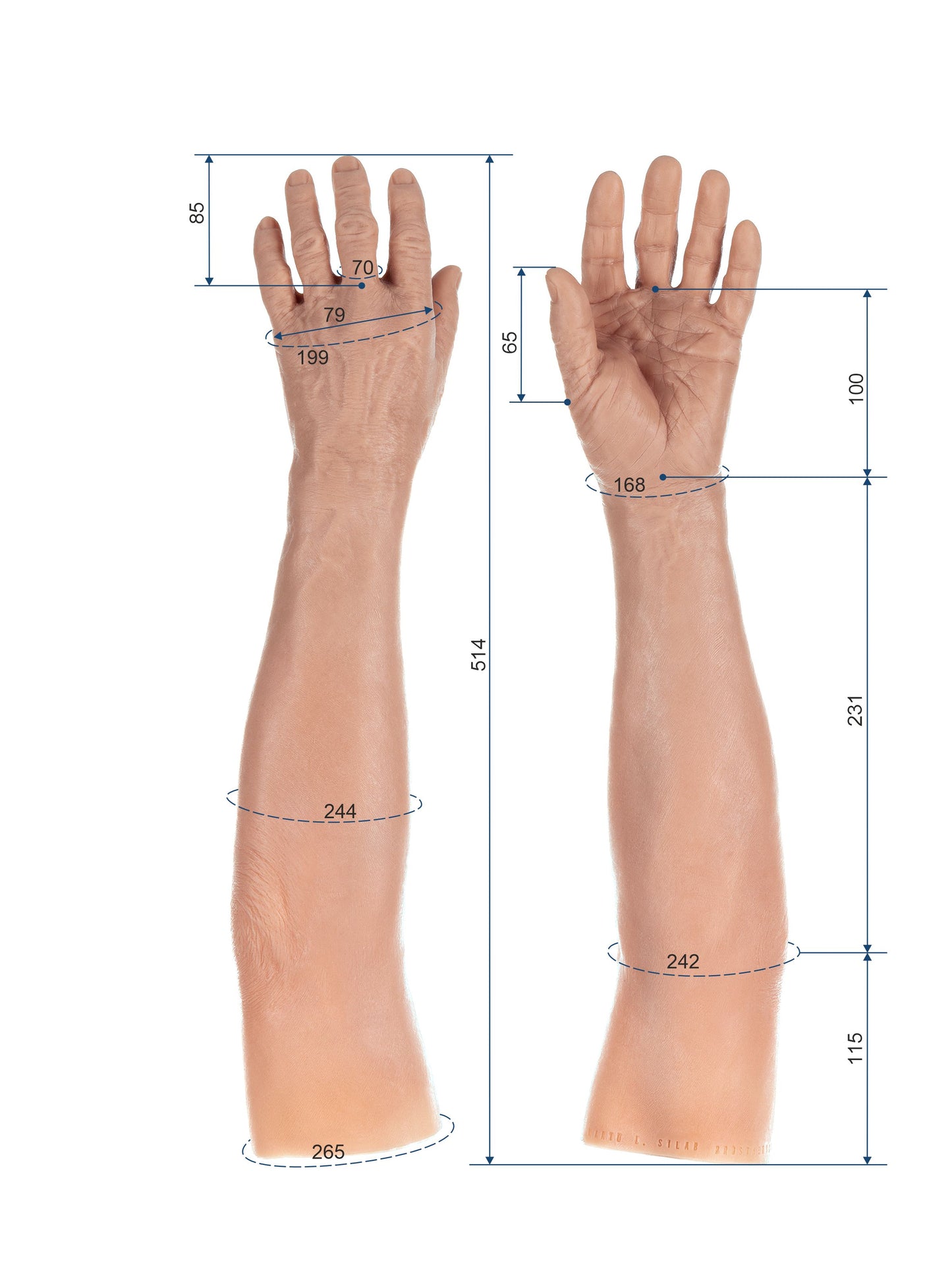 Cosmetic Prosthetic Glove – Men Shape / Arm / Ref. "Mario"