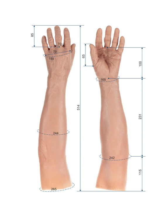Cosmetic Prosthetic Glove –  Men Shape / Arm / Ref. "Mario"