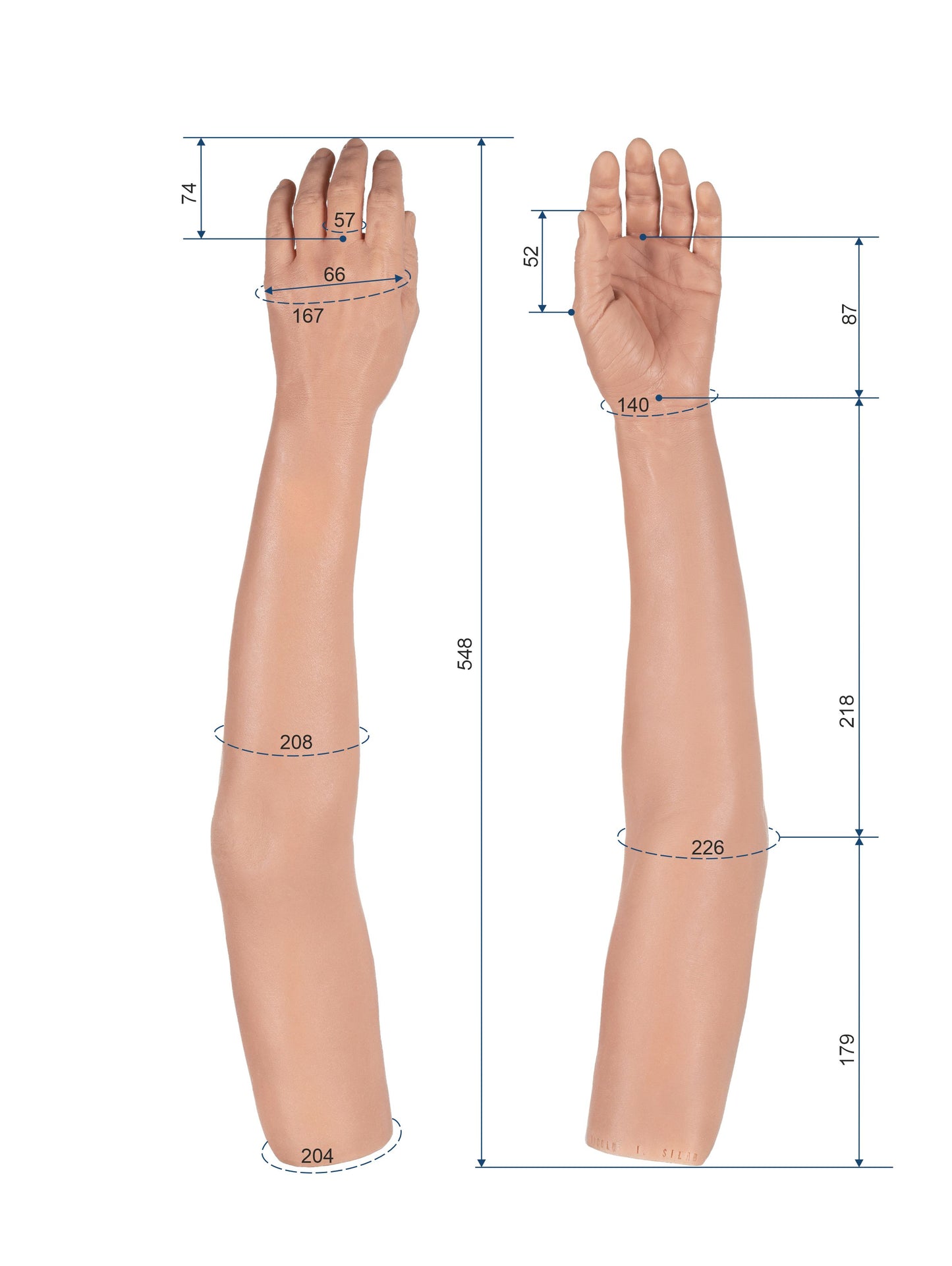 Cosmetic Prosthetic Glove – Women Shape / Arm / Ref. "Nicole"