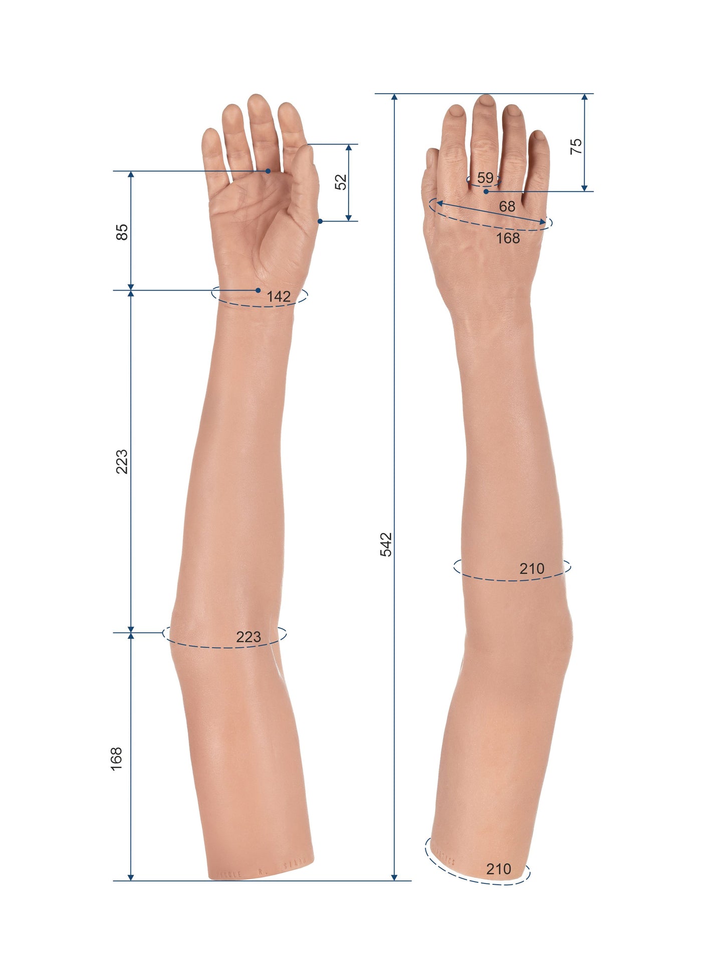 Cosmetic Prosthetic Glove – Women Shape / Arm / Ref. "Nicole"