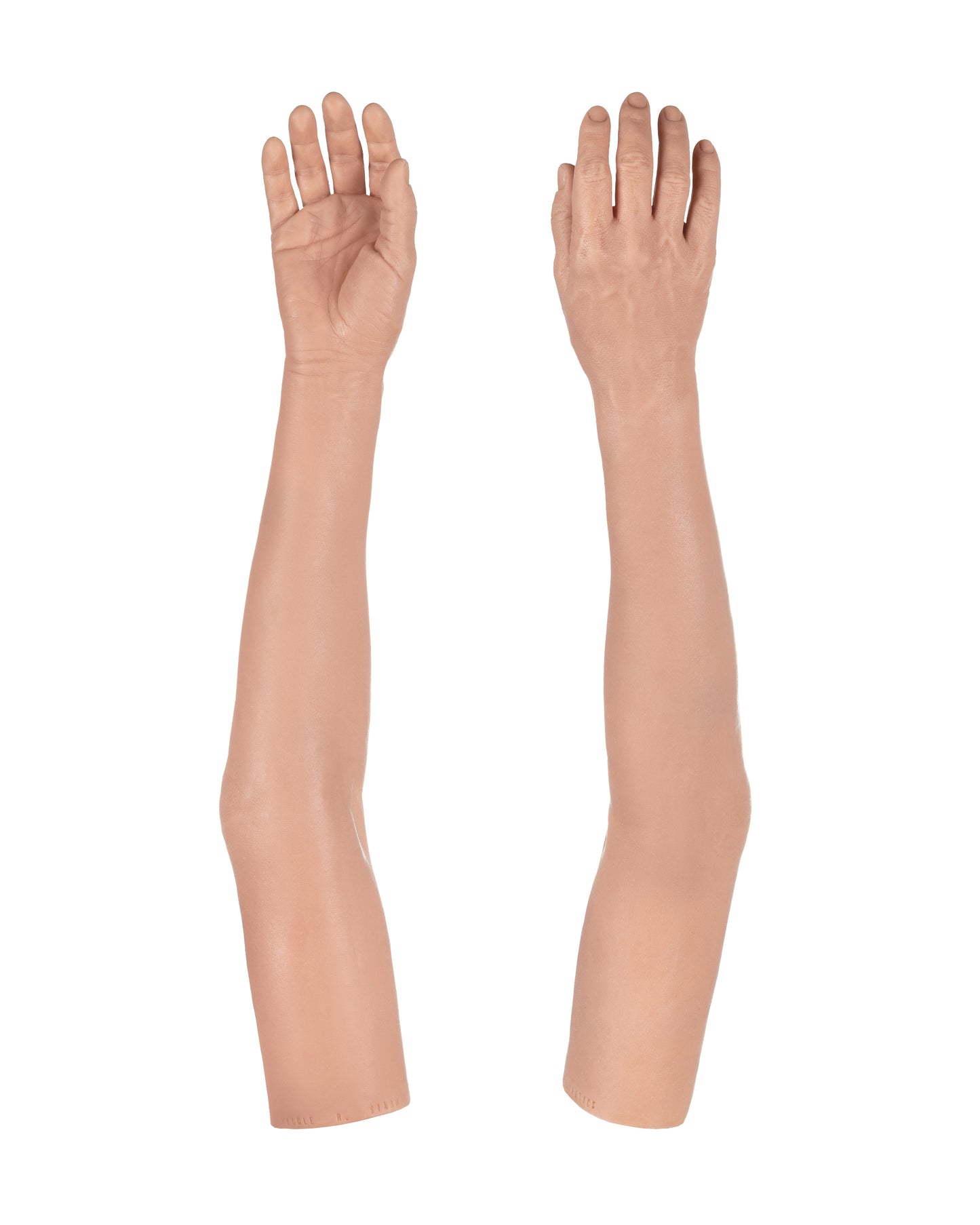 Cosmetic Prosthetic Glove – Women Shape / Arm / Ref. "Nicole"