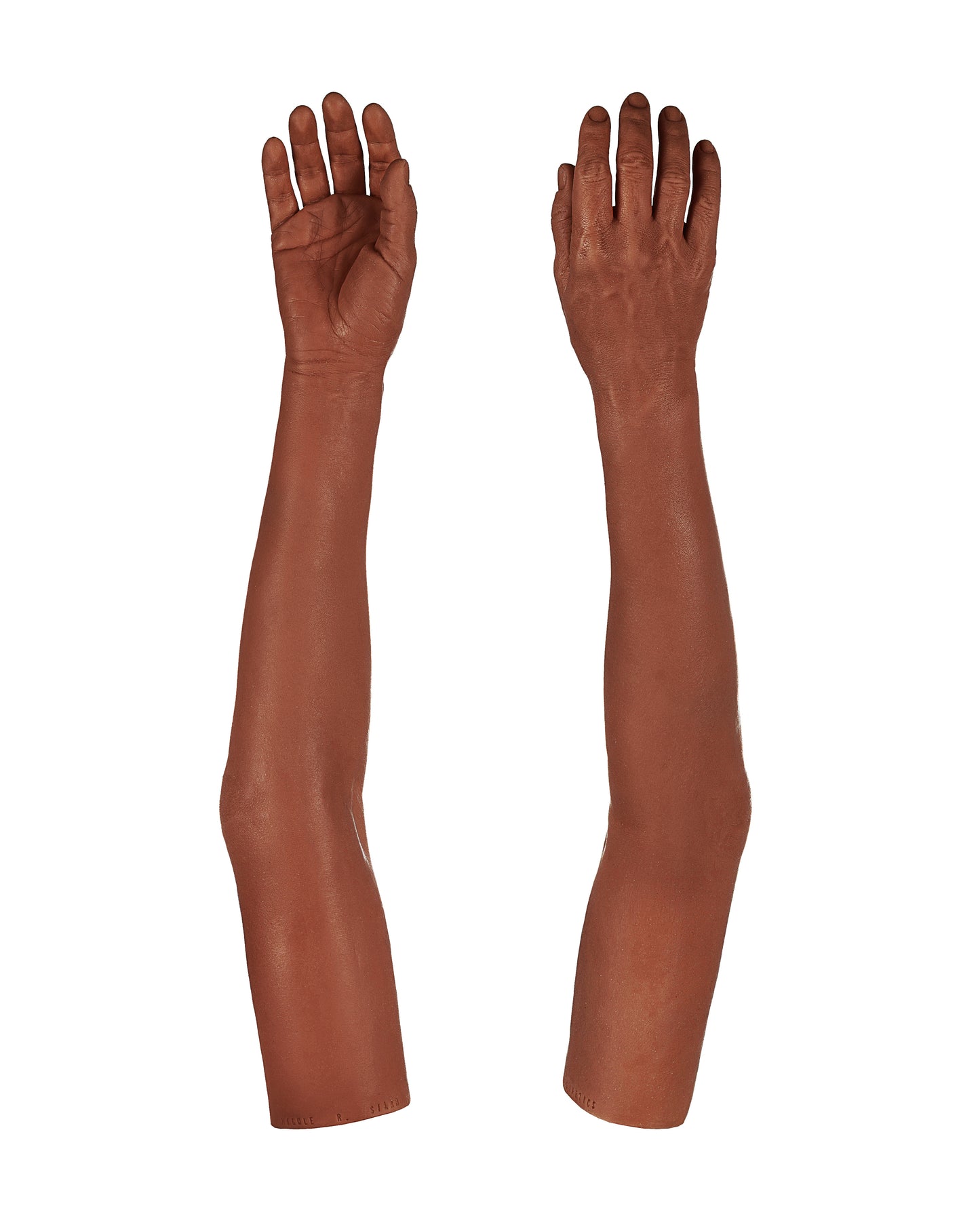 Cosmetic Prosthetic Glove – Women Shape / Arm / Ref. "Nicole"