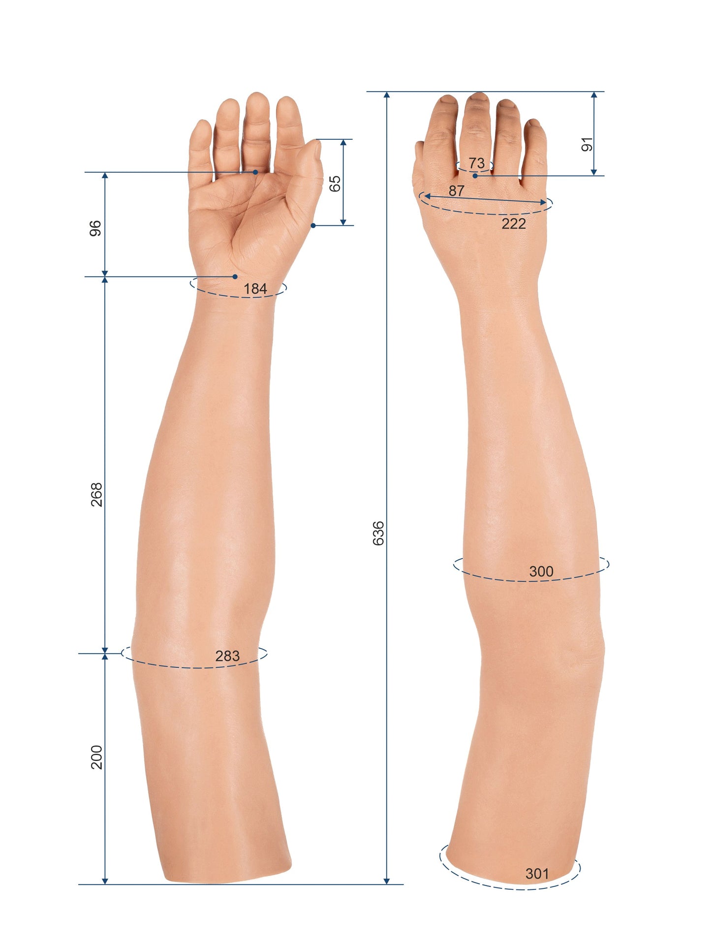 Cosmetic Prosthetic Glove – Men Shape / Arm / Ref. "Peter"