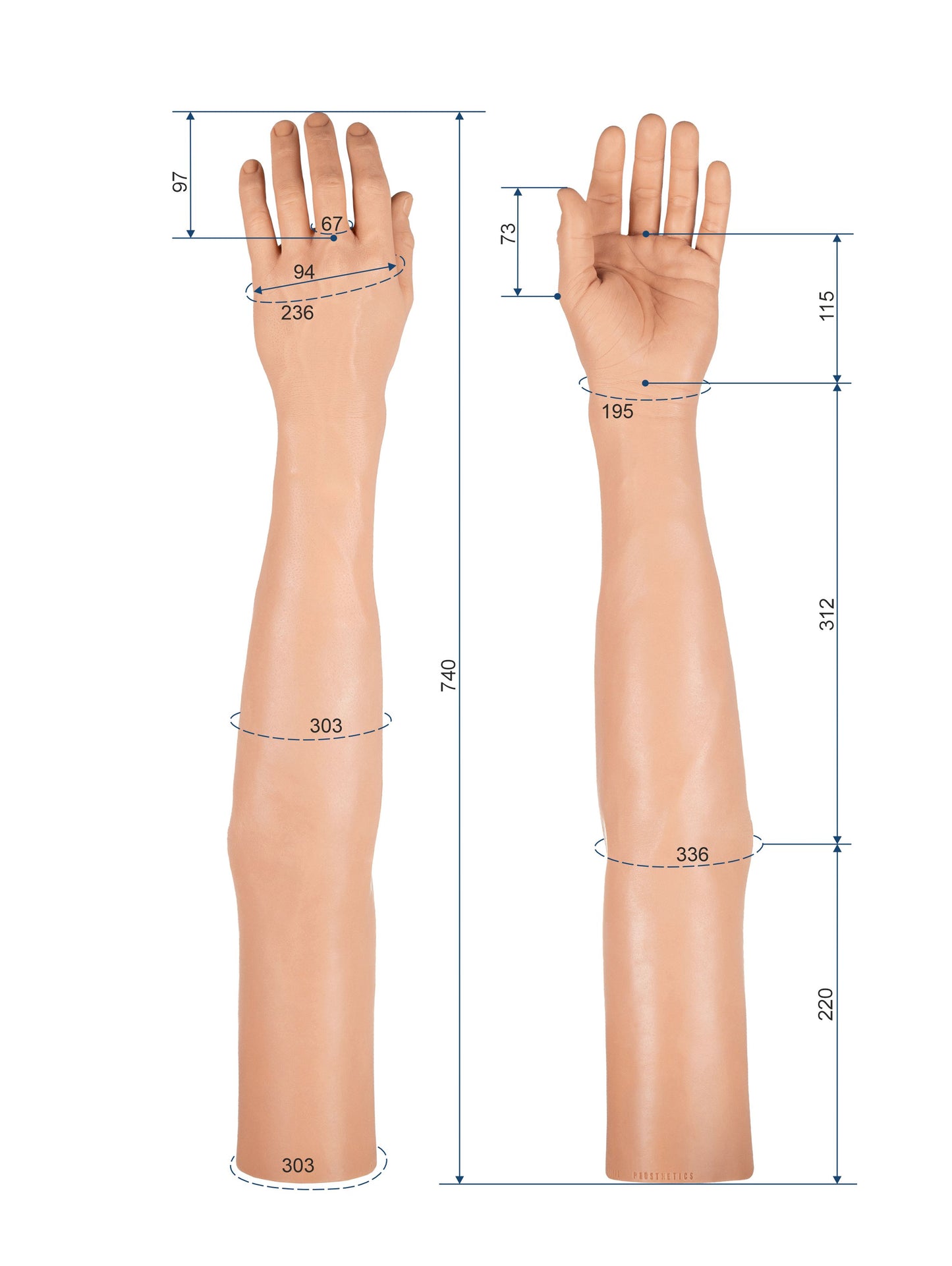 Cosmetic Prosthetic Glove – Men Shape / Arm / Ref. "Robert"
