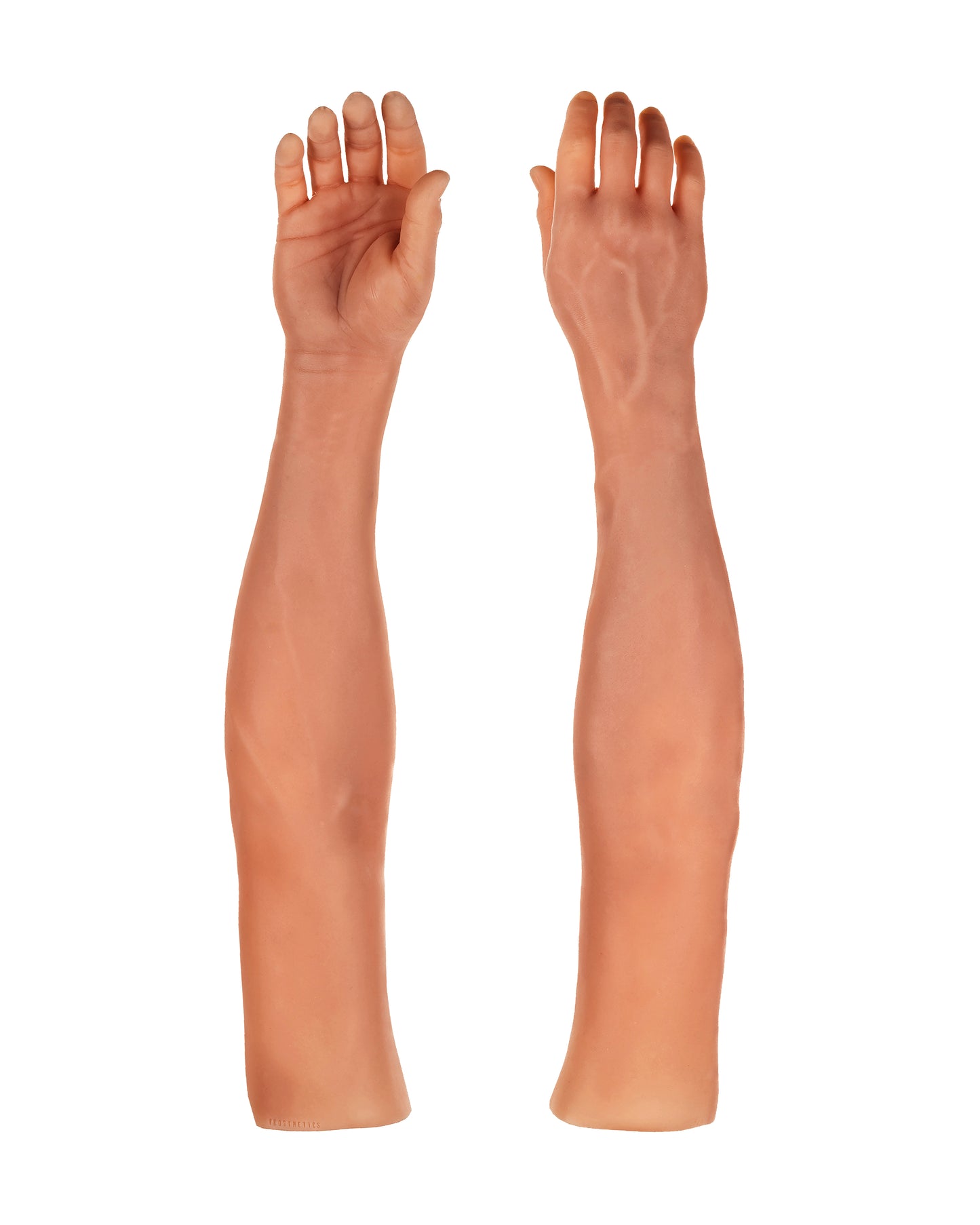 Cosmetic Prosthetic Glove – Men Shape / Arm / Ref. "Robert"