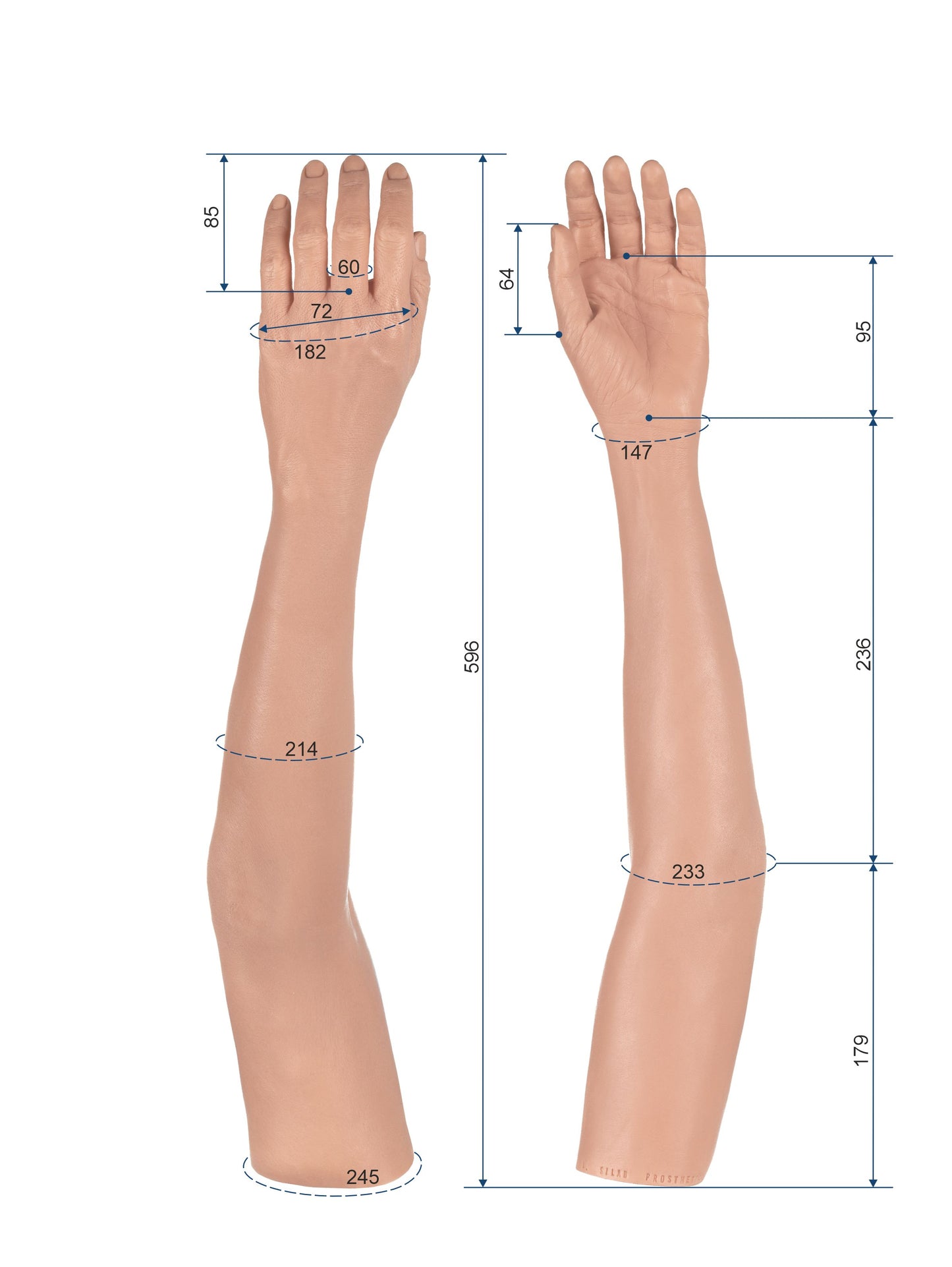 Cosmetic Prosthetic Glove – Women Shape / Arm / Ref. "Sandra"
