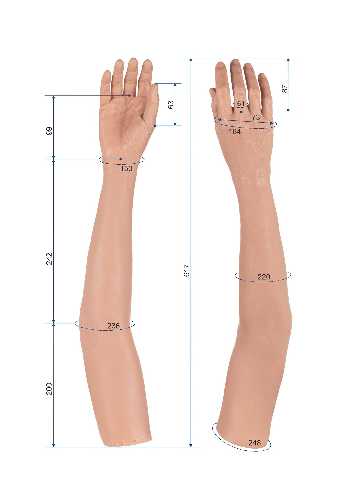 Cosmetic Prosthetic Glove – Women Shape / Arm / Ref. "Sandra"