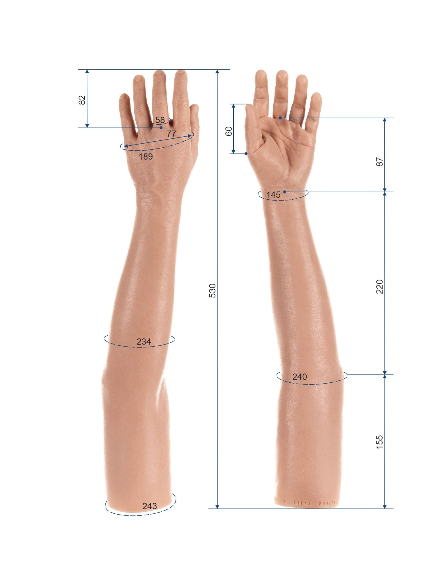 Cosmetic Prosthetic Glove – Women Shape / Arm / Ref. "Sophia"