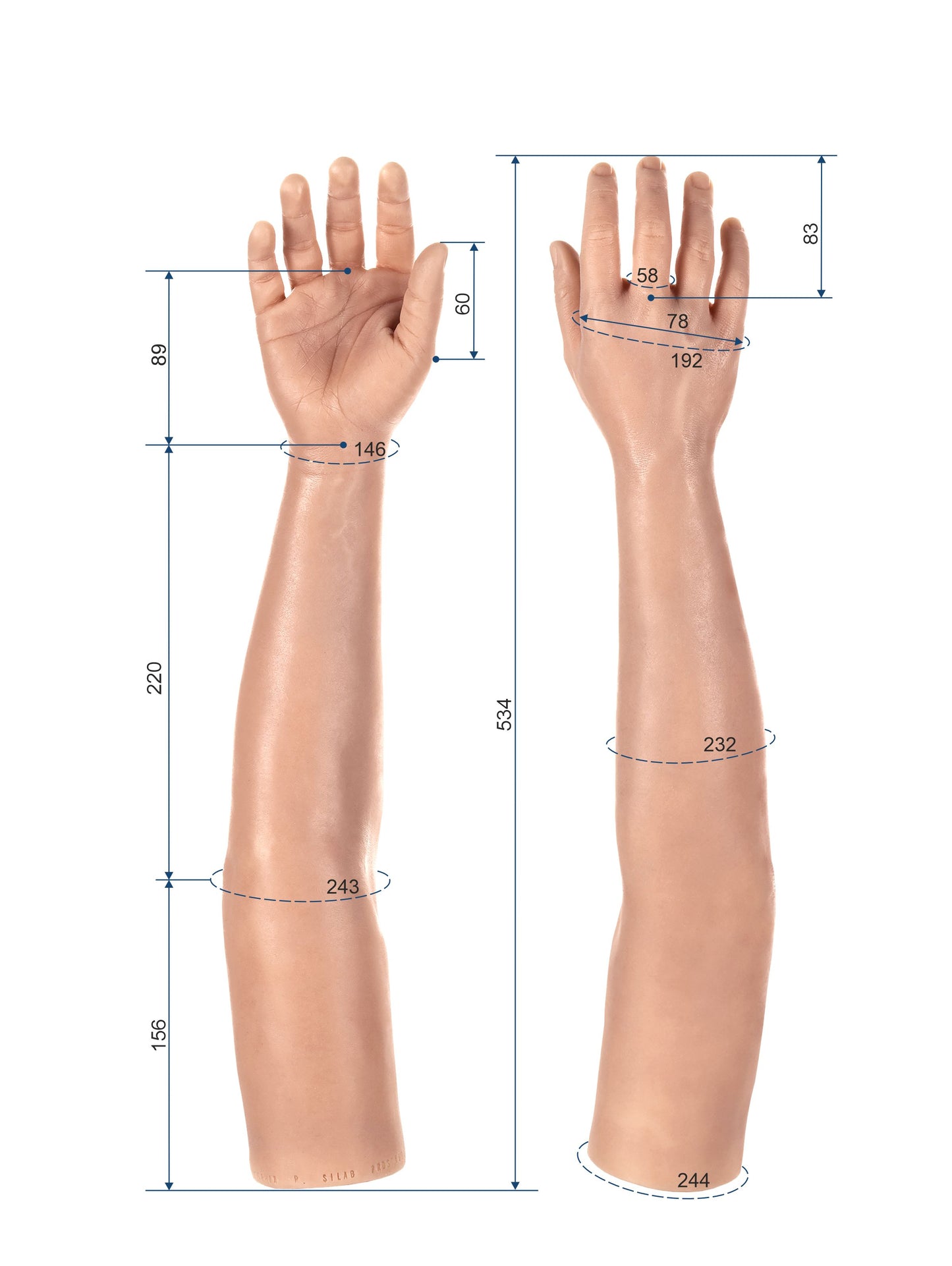 Cosmetic Prosthetic Glove – Women Shape / Arm / Ref. "Sophia"
