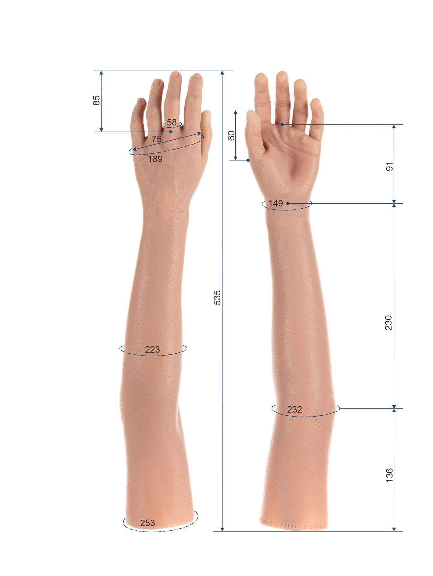 Cosmetic Prosthetic Glove – Women Shape / Arm / Ref. "Angy"