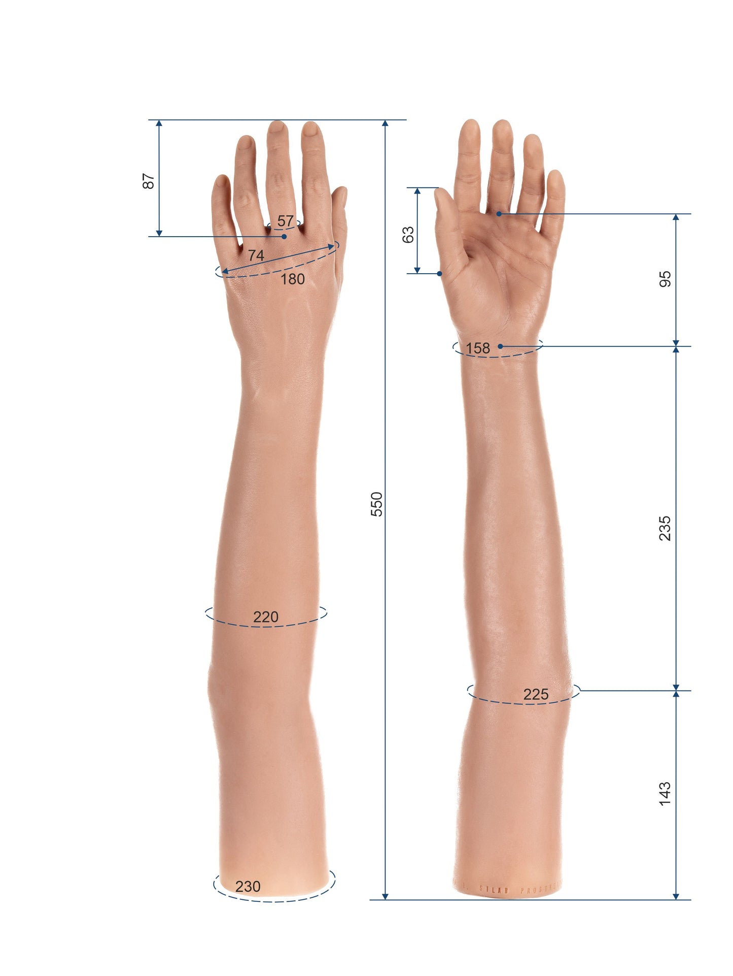 Cosmetic Prosthetic Glove – Women Shape / Arm / Ref. "Dora"