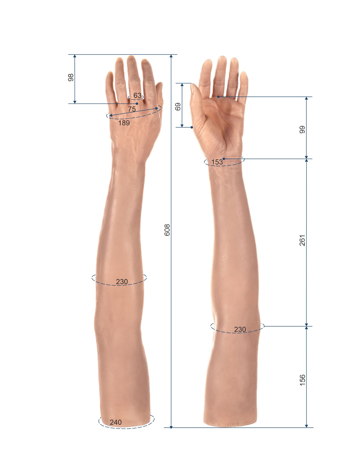 Cosmetic Prosthetic Glove – Women Shape / Arm / Ref. "Elizabeth"