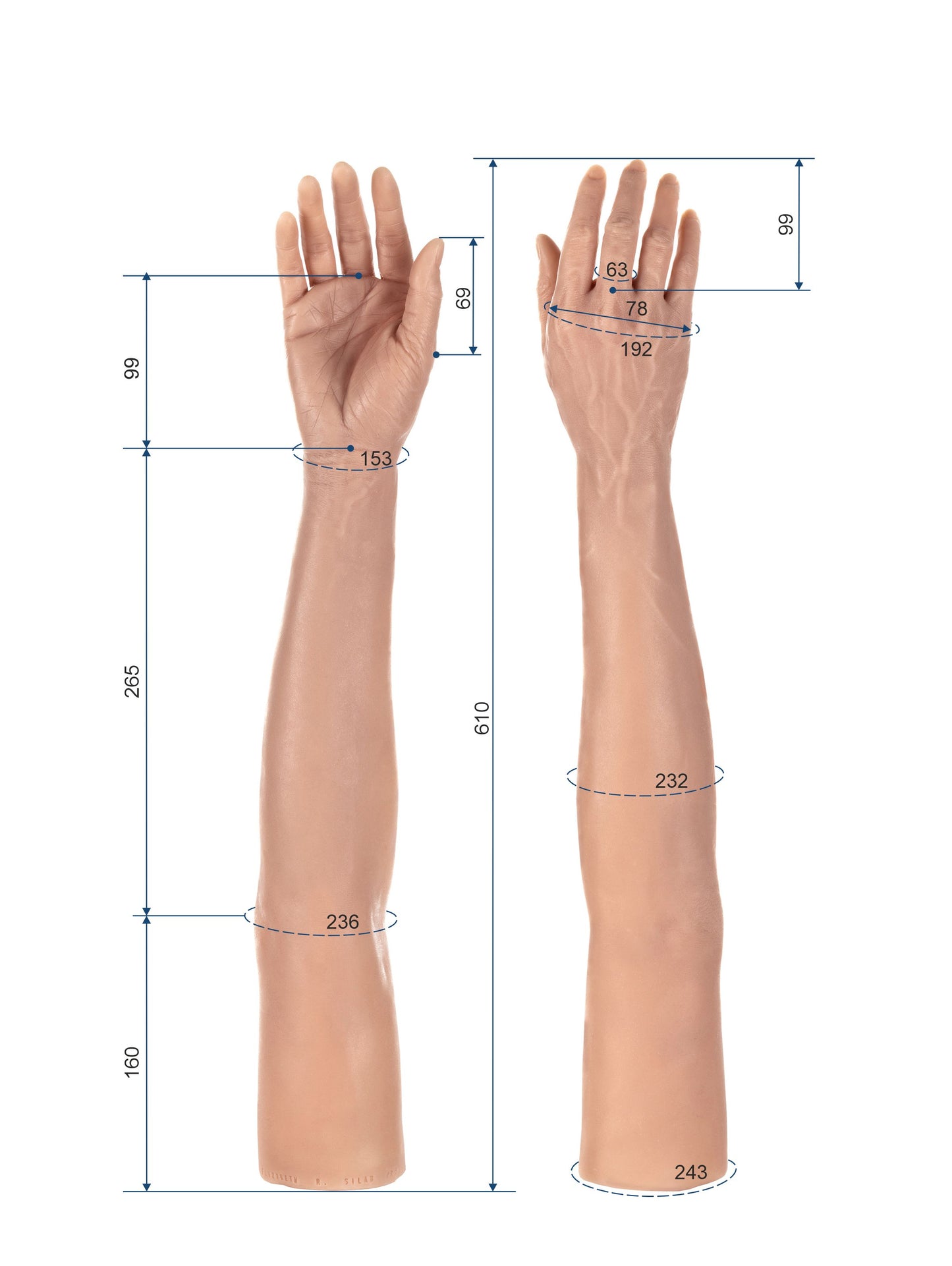 Cosmetic Prosthetic Glove – Women Shape / Arm / Ref. "Elizabeth"