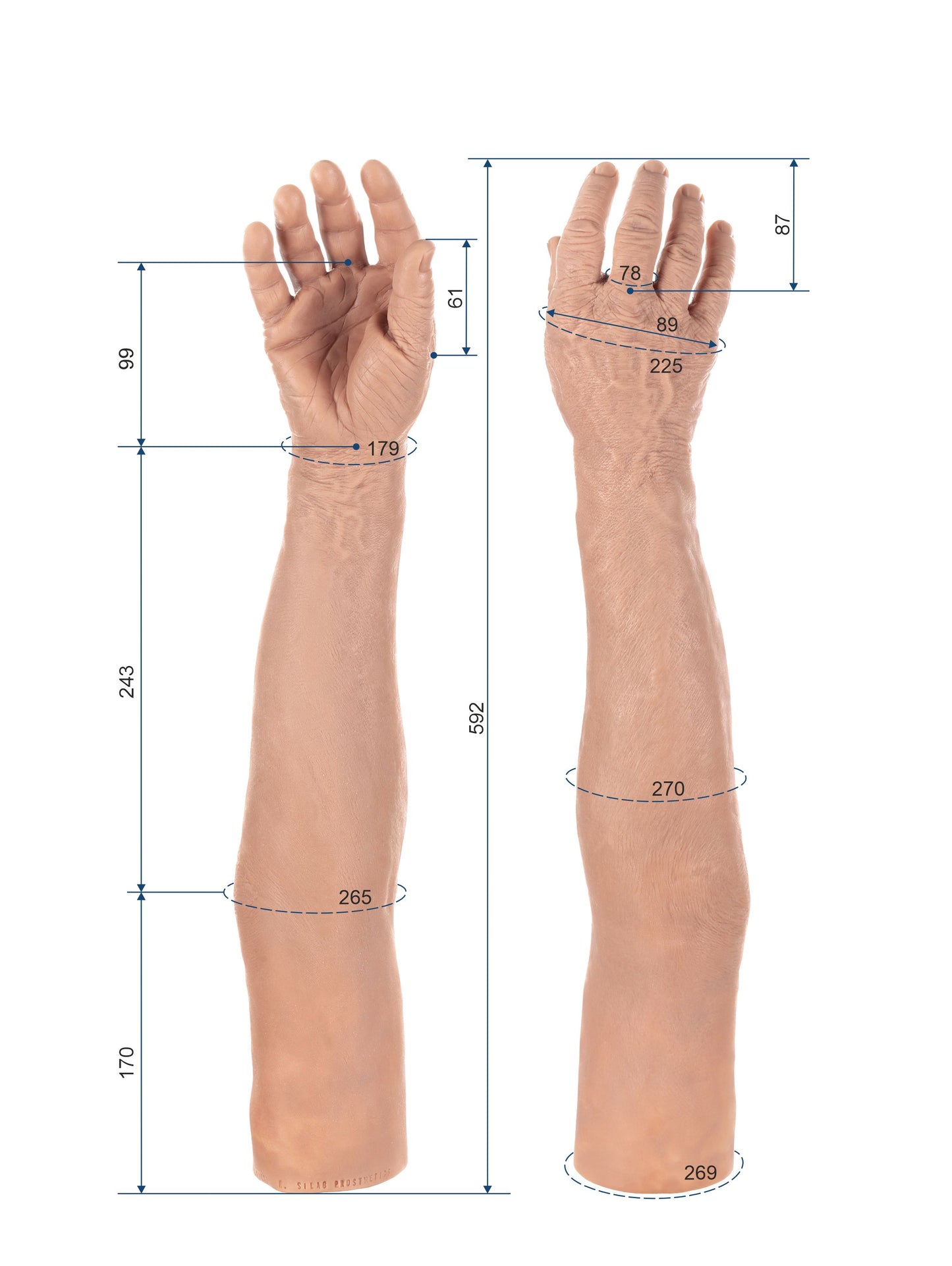 Cosmetic Prosthetic Glove –  Men Shape / Arm / Ref. "Ernest"