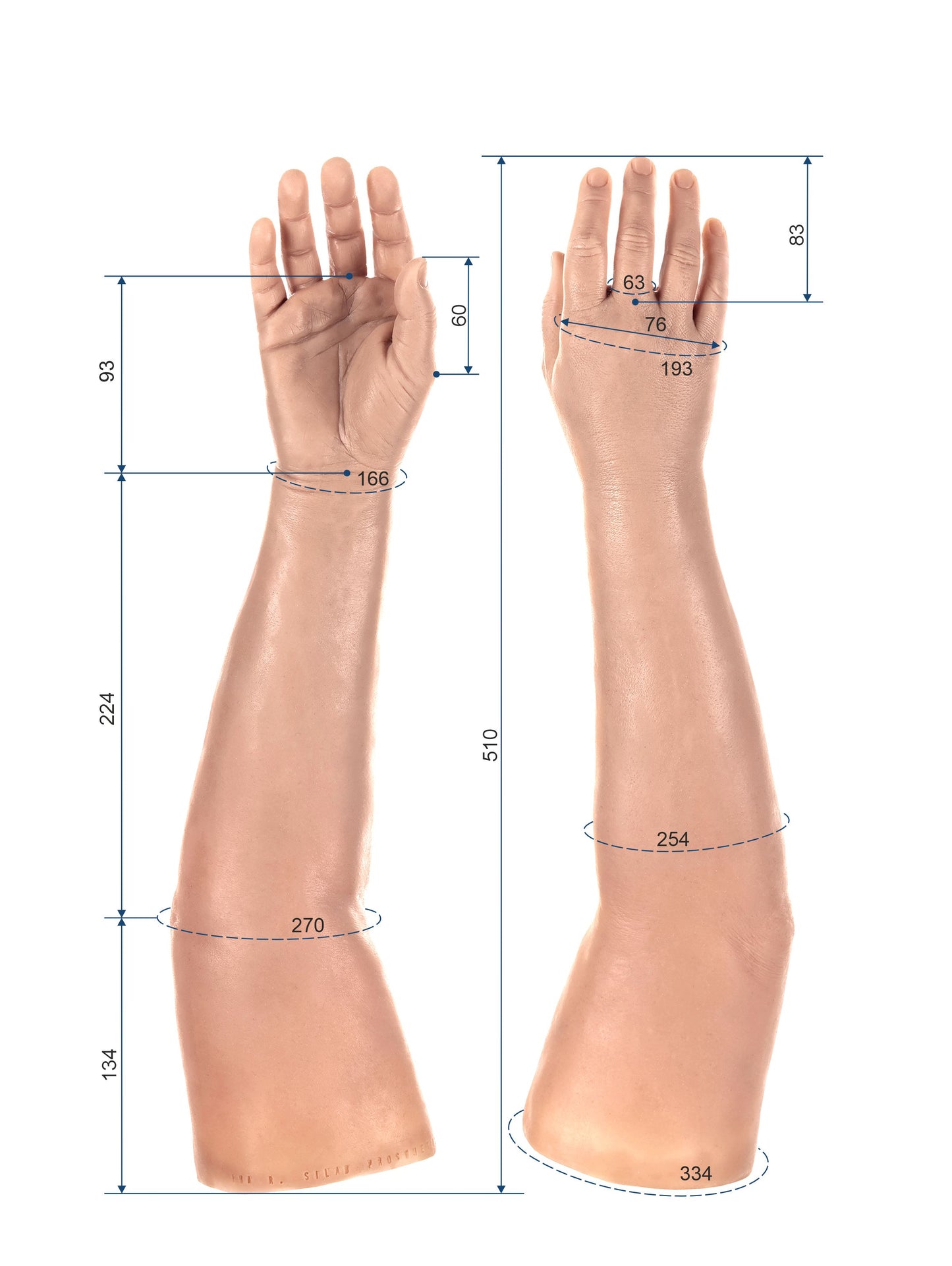 Cosmetic Prosthetic Glove – Women Shape / Arm / Ref. "Lia"