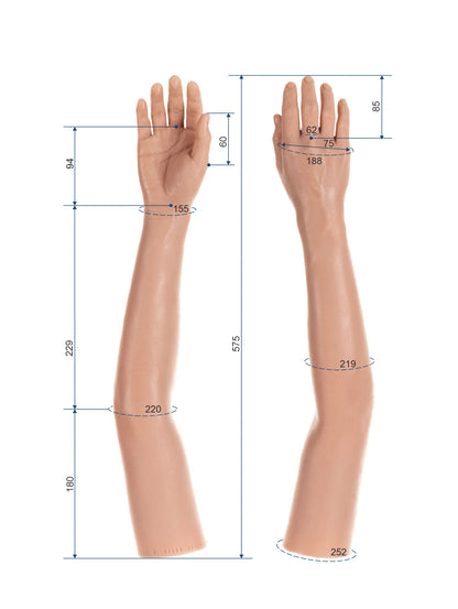 Cosmetic Prosthetic Glove – Women Shape / Arm / Ref. "Lisa"