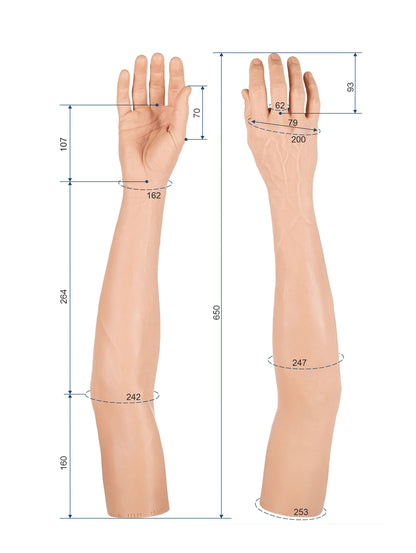 Cosmetic Prosthetic Glove – Men Shape / Arm / Ref. "Luis"