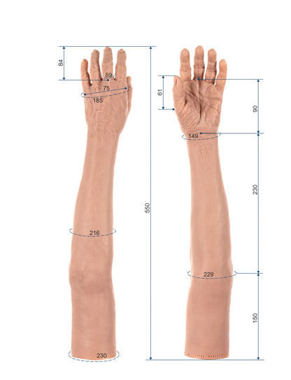Cosmetic Prosthetic Glove – Women Shape / Arm / Ref. "Maria"