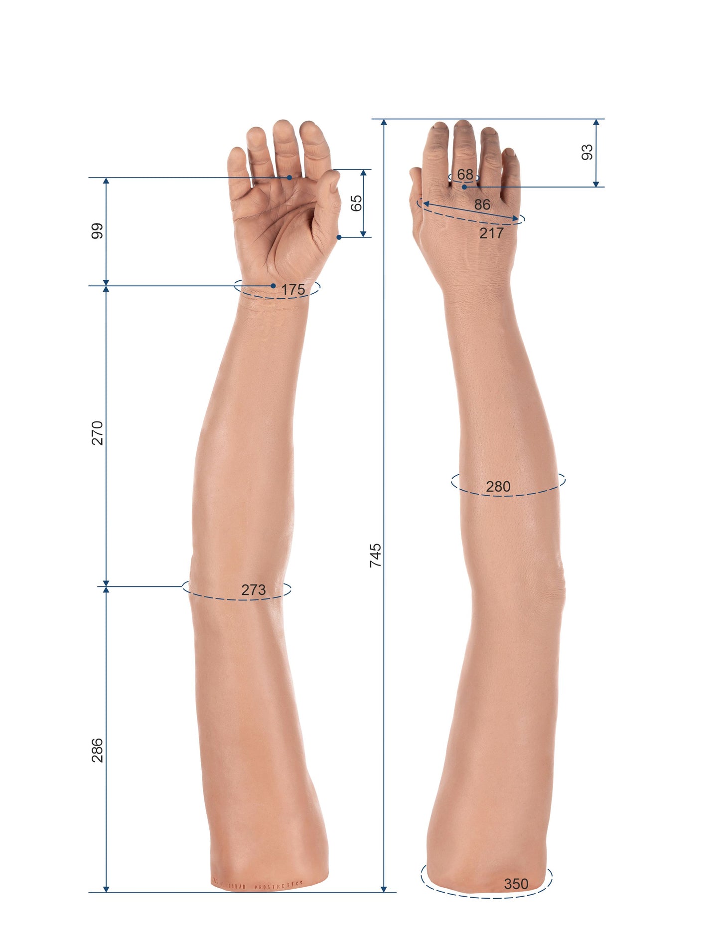 Cosmetic Prosthetic Glove –  Men Shape / Arm / Ref. "Michel"