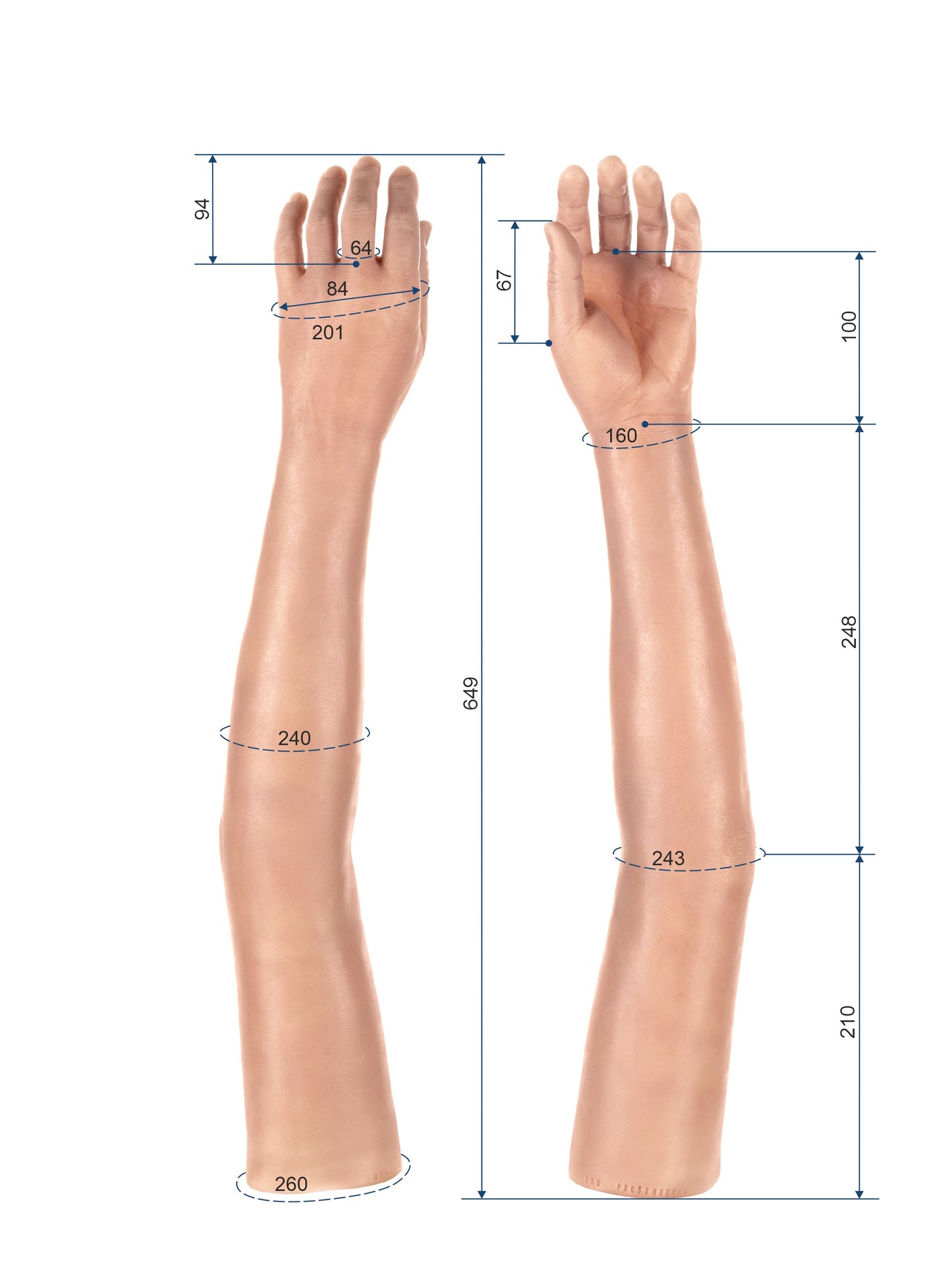 Cosmetic Prosthetic Glove – Women Shape / Arm / Ref. "Morgan"