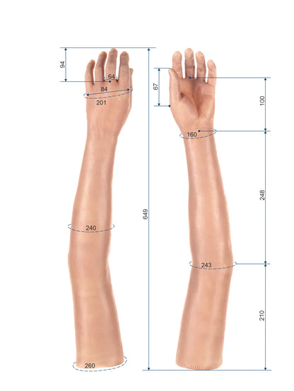 Cosmetic Prosthetic Glove – Women Shape / Arm / Ref. "Morgan"