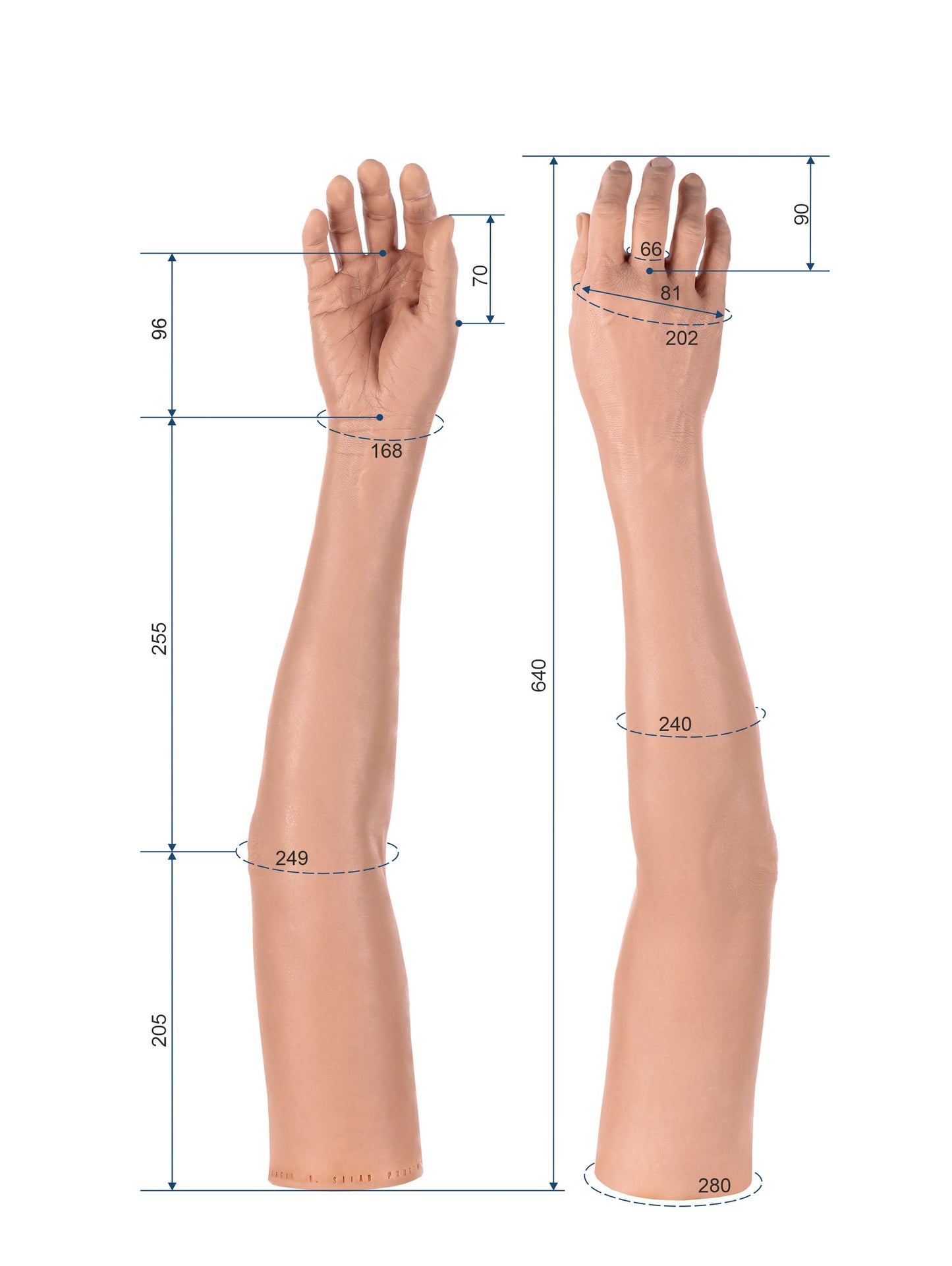 Cosmetic Prosthetic Glove – Women Shape / Arm / Ref. "Morgan"
