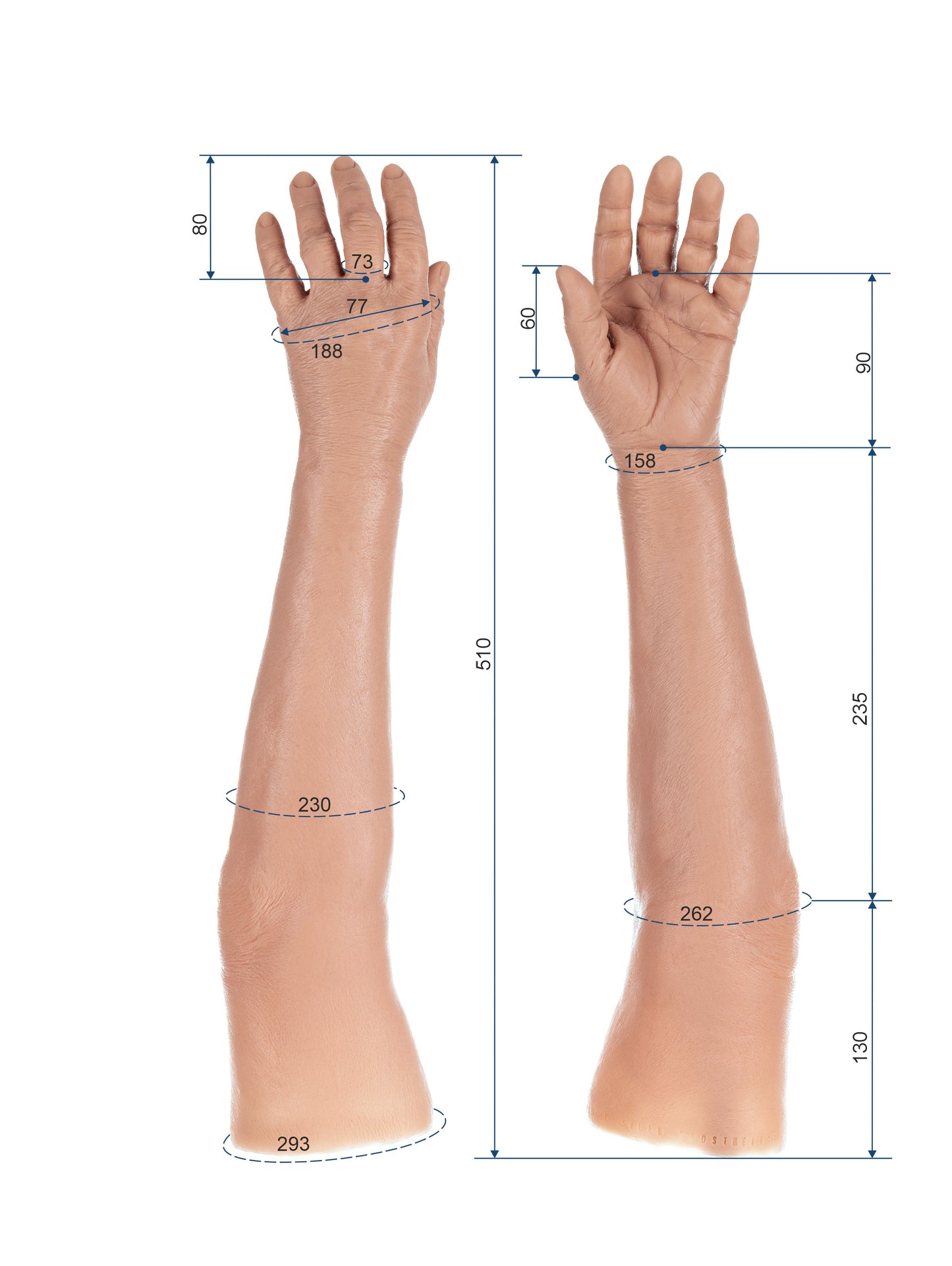 Cosmetic Prosthetic Glove – Women Shape / Arm / Ref. "Rosa"