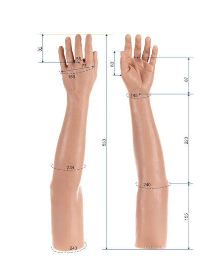 Cosmetic Prosthetic Glove – Women Shape / Arm / Ref. "Sophia"