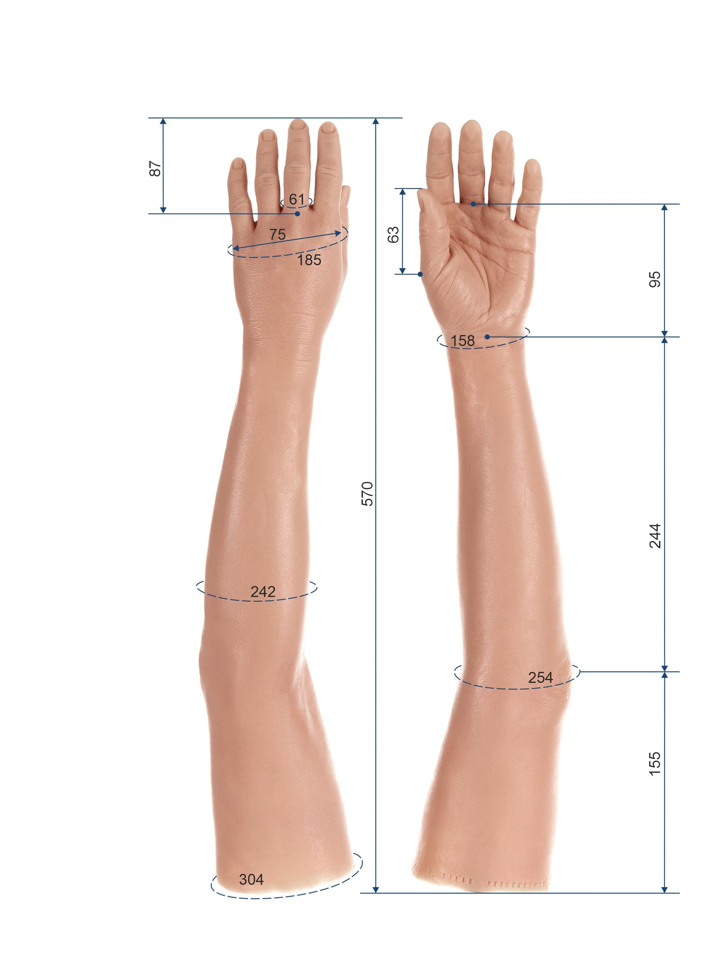 Cosmetic Prosthetic Glove – Women Shape / Arm / Ref. "Ira"
